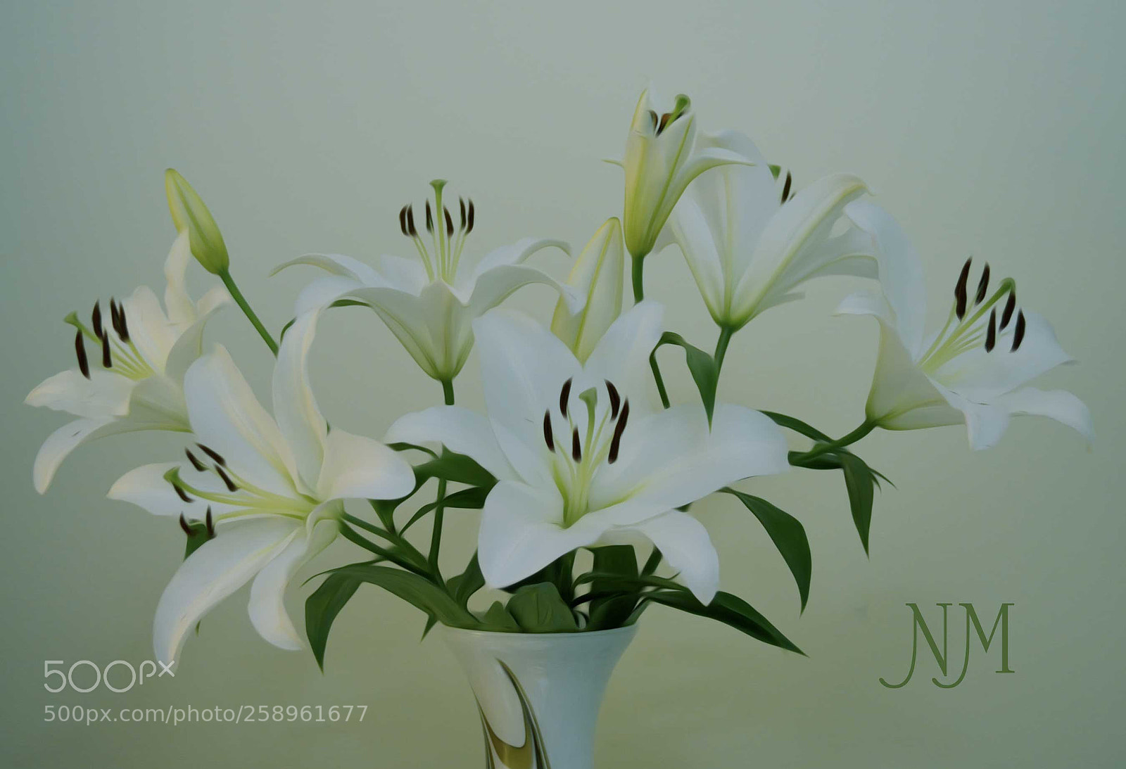 Nikon D5100 sample photo. We are happy photography