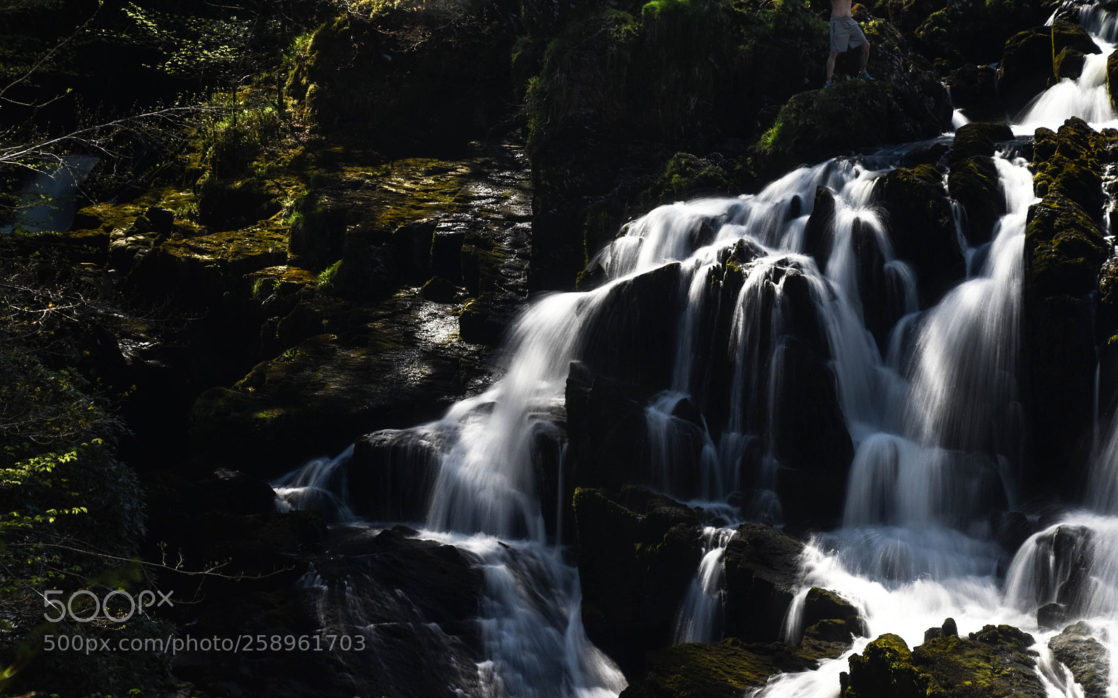 Nikon D5500 sample photo. Swallow falls photography