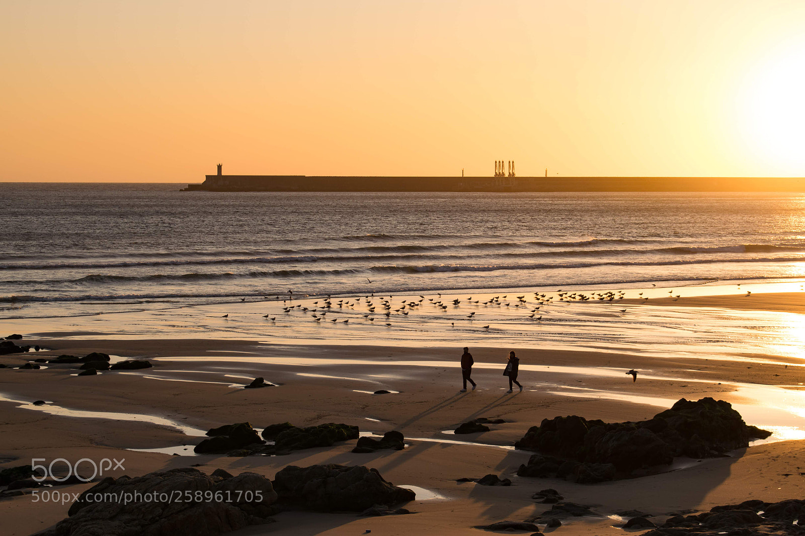 Nikon D3300 sample photo. Playa de matosinhos photography
