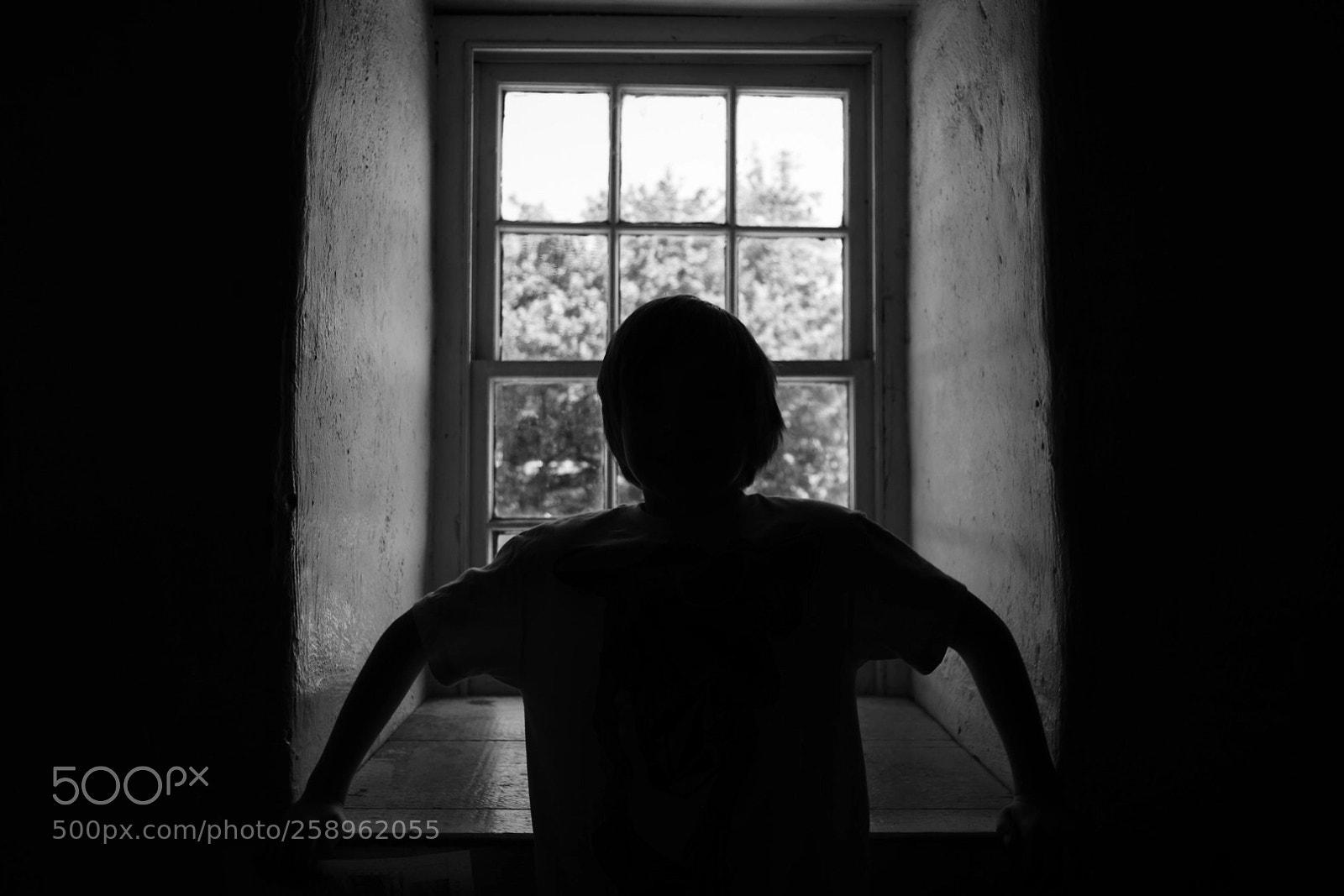 Nikon D7100 sample photo. Window pain  photography