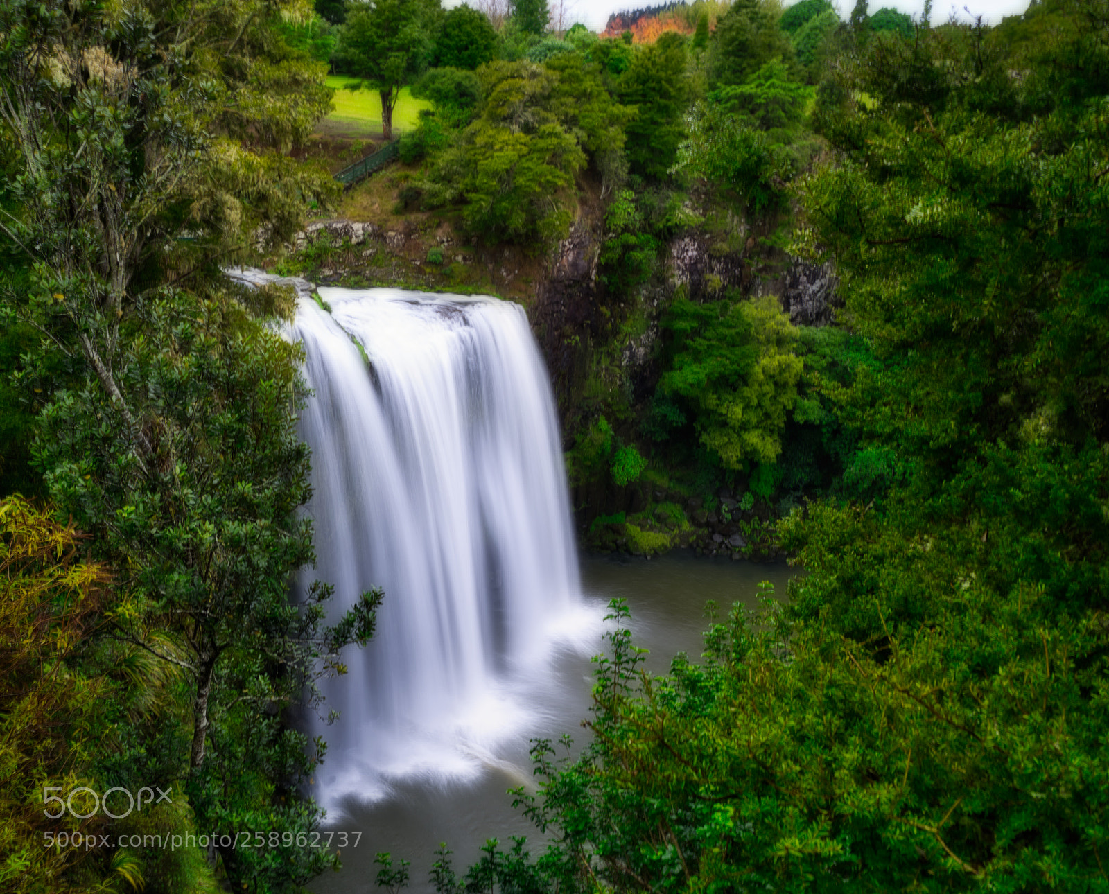 Nikon D7500 sample photo. Whangarei falls photography