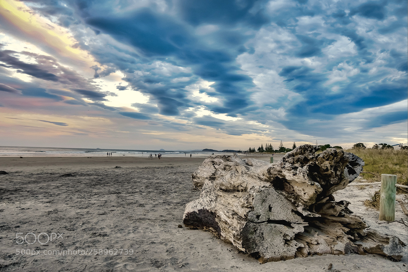 Nikon D7500 sample photo. Waihi beach, new zealand photography