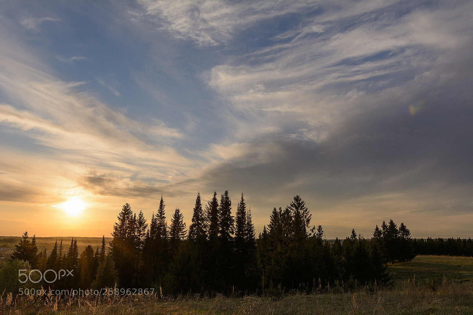 Nikon D7100 sample photo. Вечер. photography