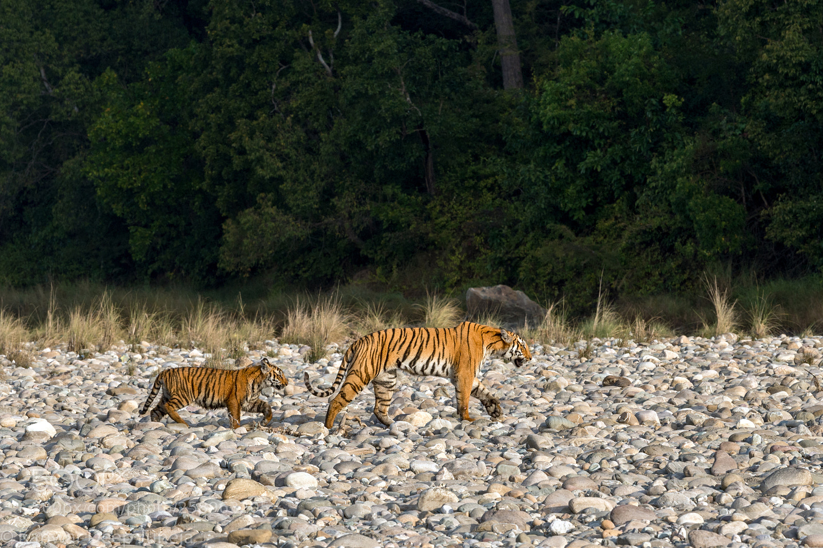 Nikon D4S sample photo. The first patrol photography