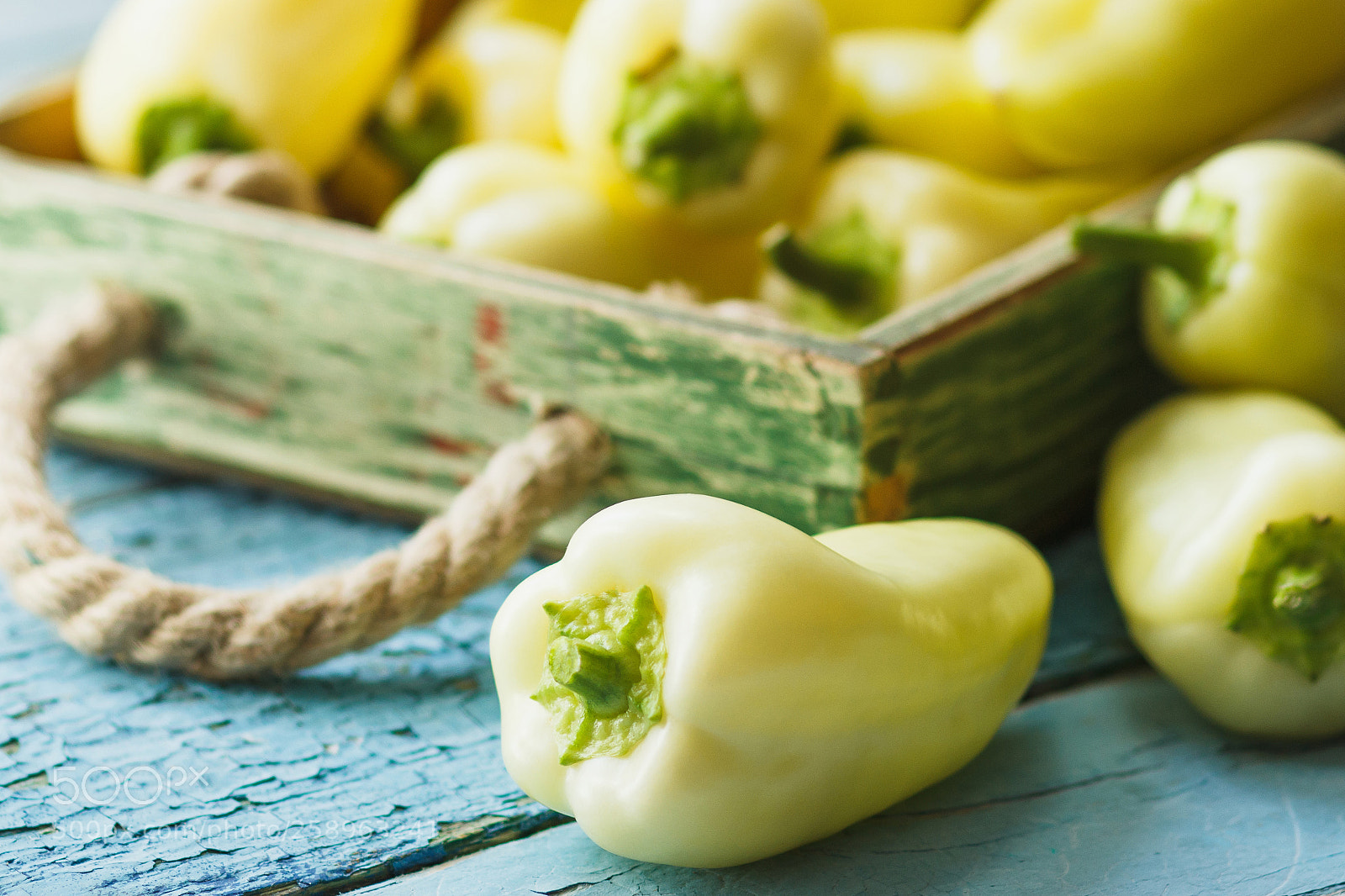Canon EOS 600D (Rebel EOS T3i / EOS Kiss X5) sample photo. Green fresh bell peppers photography