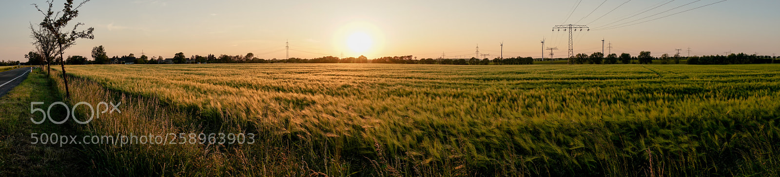 Sony a7R II sample photo. Gerstenfeld photography