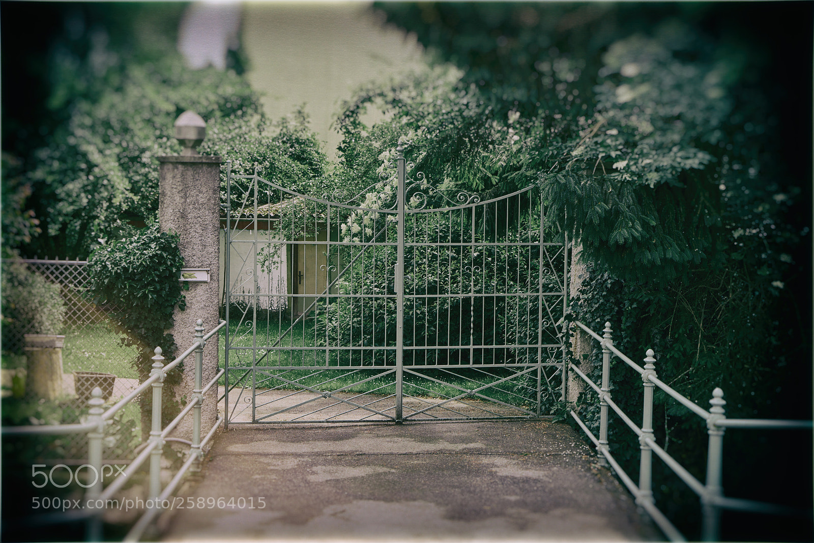 Sony a7R II sample photo. 2018_05_20 photography