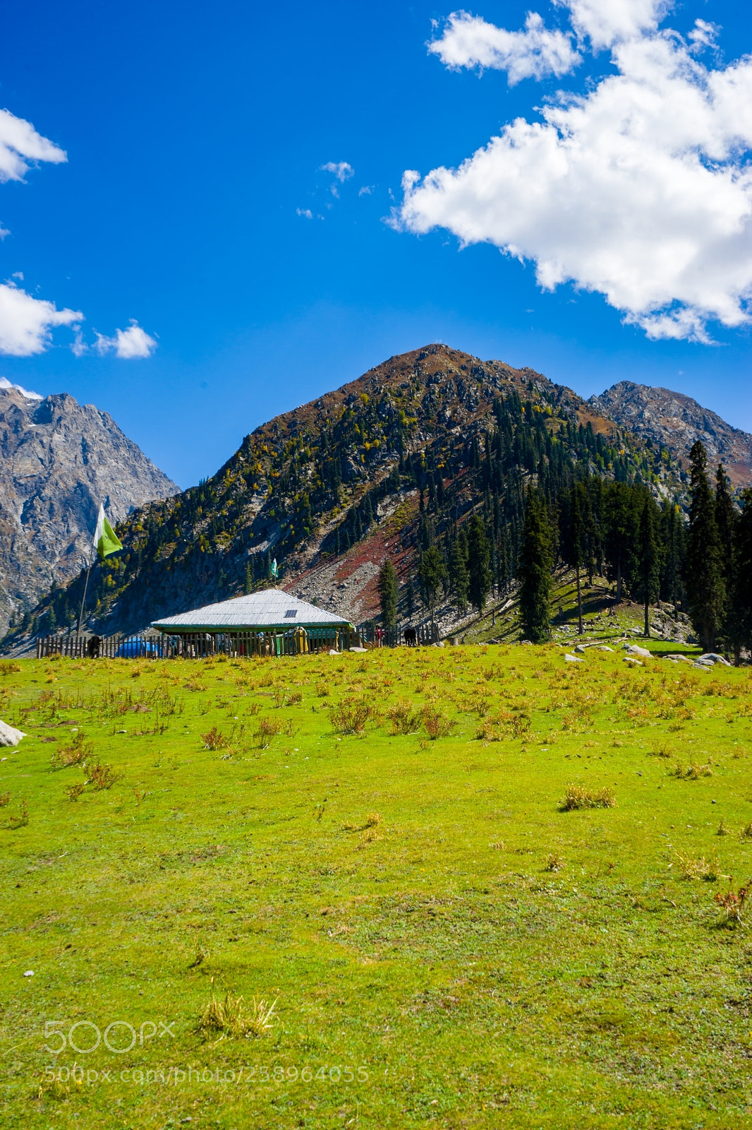 Sony a7 sample photo. Jahaz banda photography