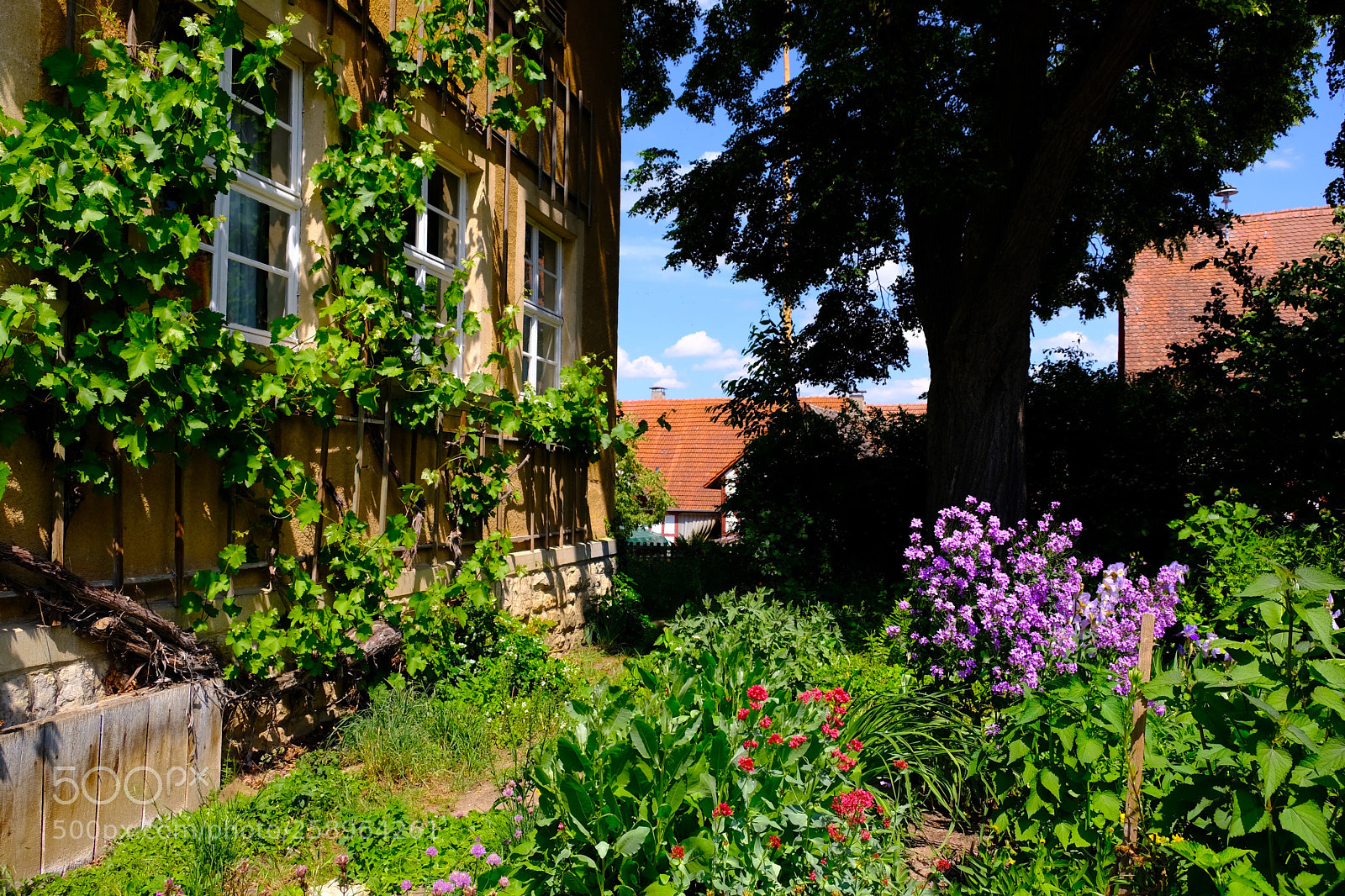 Fujifilm X-T20 sample photo. Historisches museum franken photography