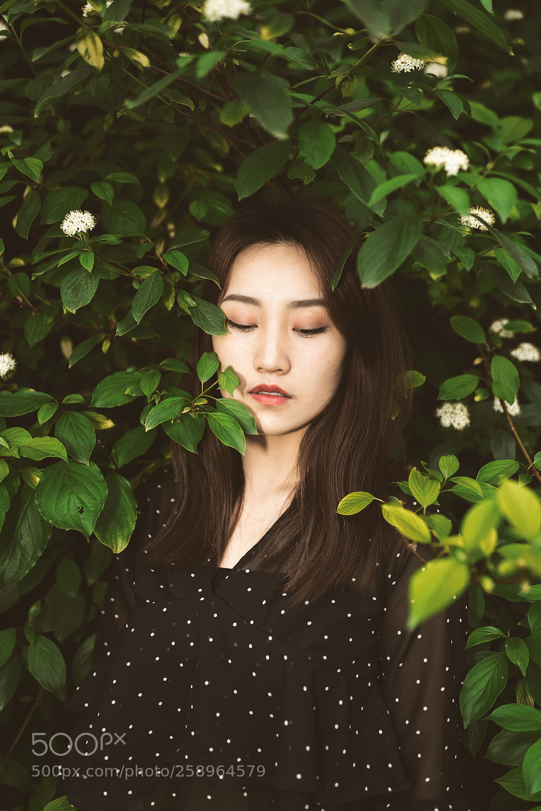 Sony a7R II sample photo. Hai photography
