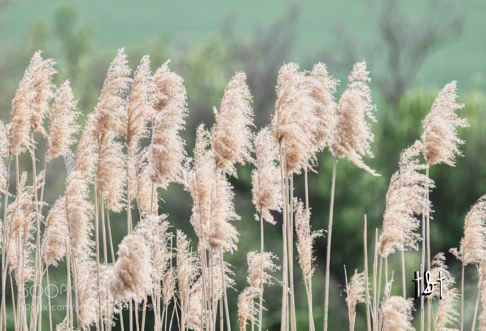 Canon EOS 7D sample photo. Untitled photography