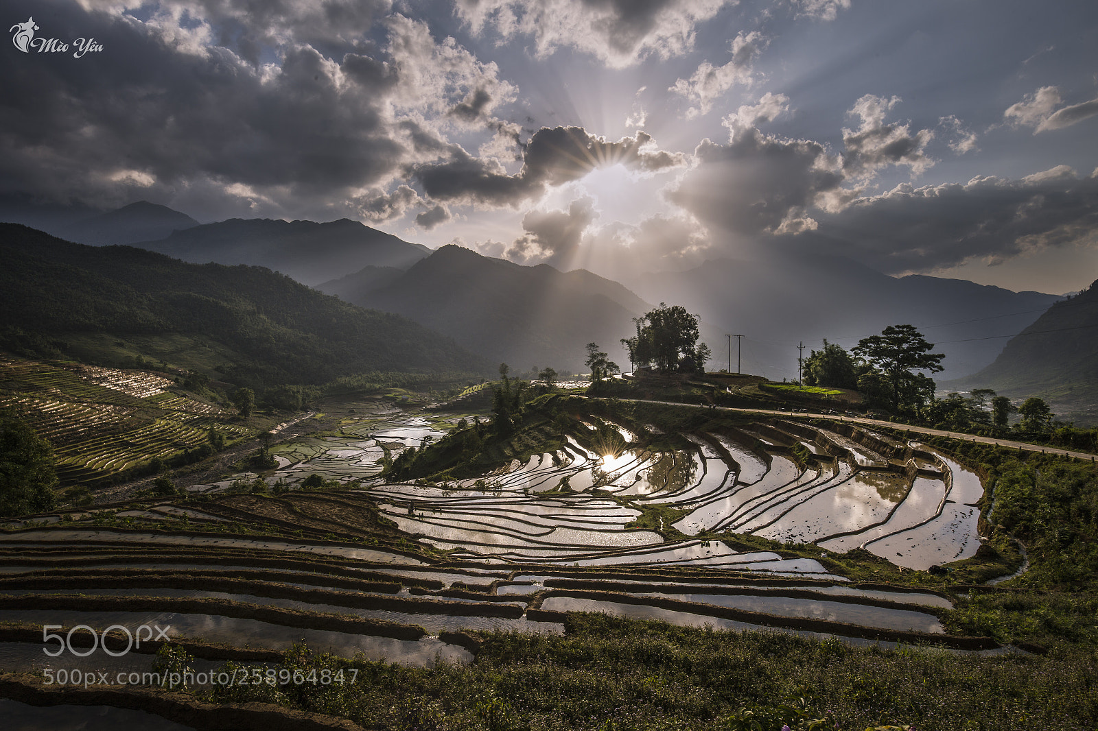 Canon EOS 6D sample photo. Sunny on terraced fields photography