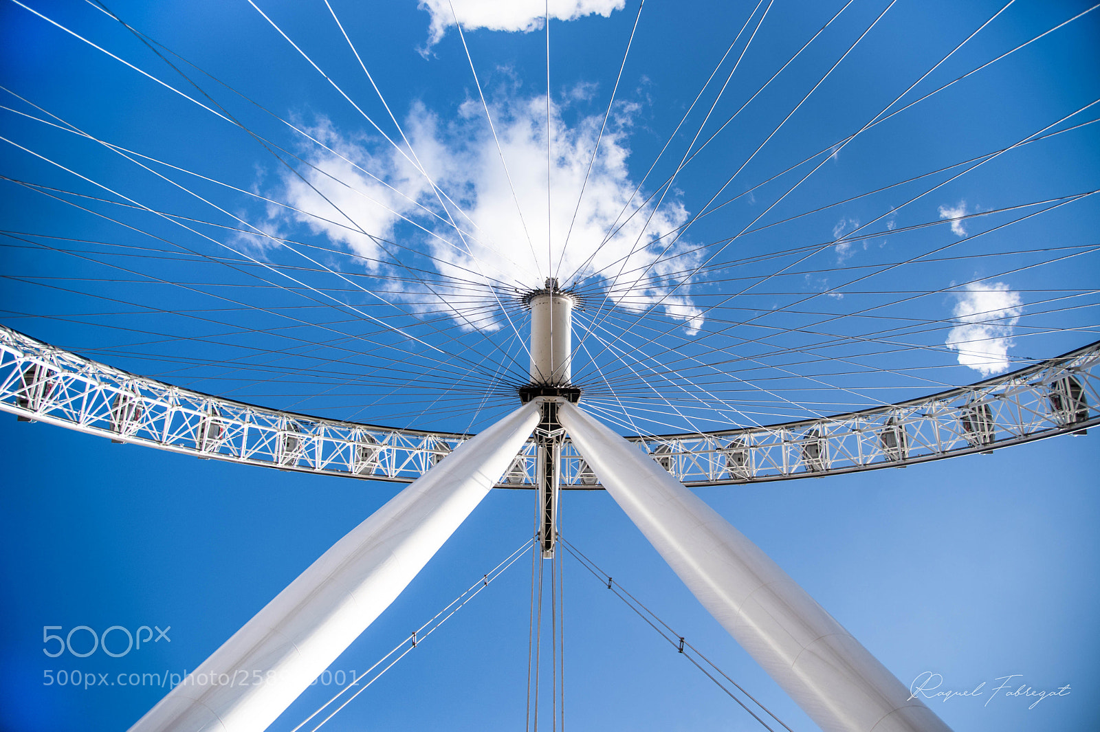 Nikon D750 sample photo. Look up photography