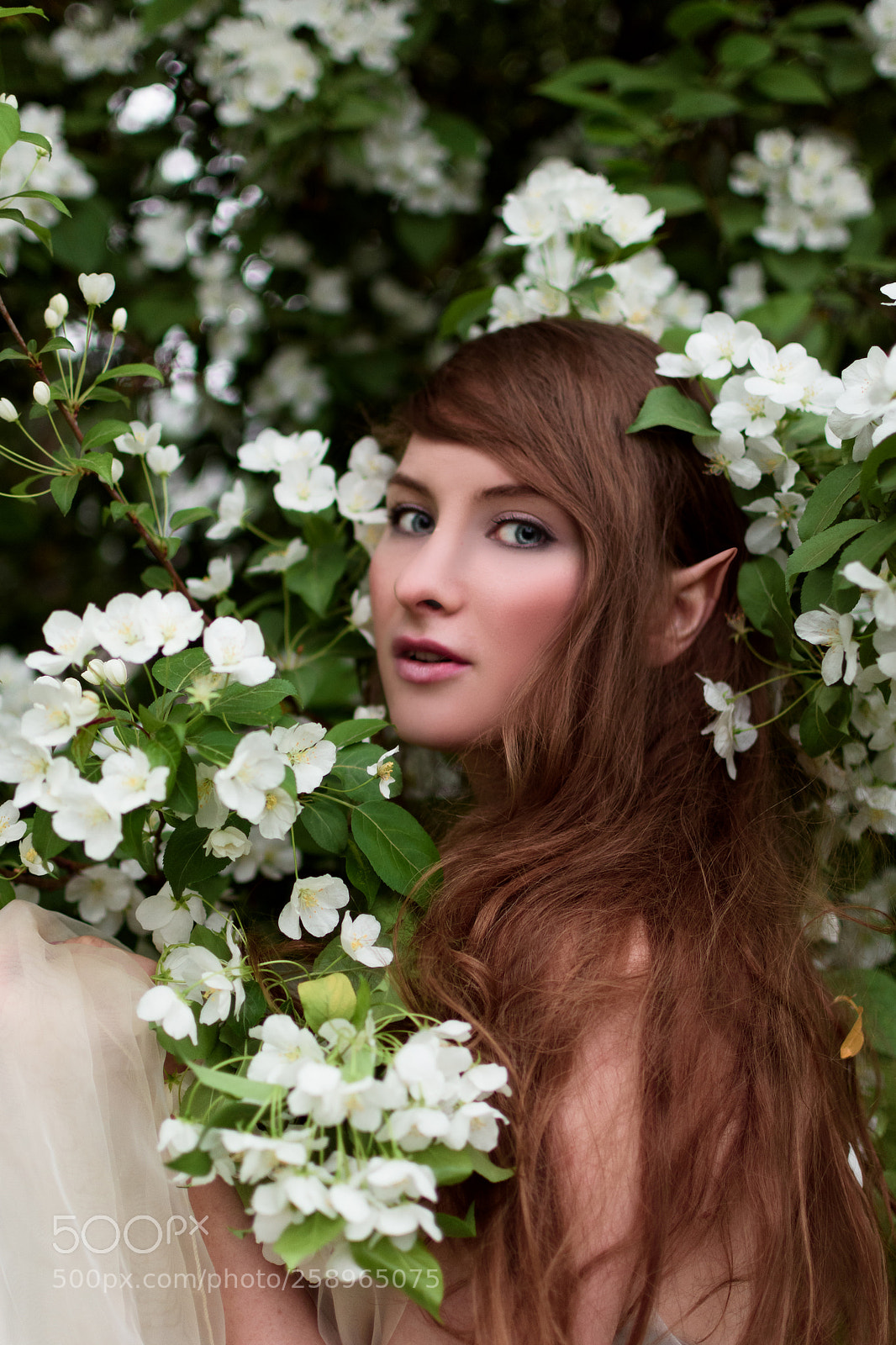 Nikon D7200 sample photo. Elf photography