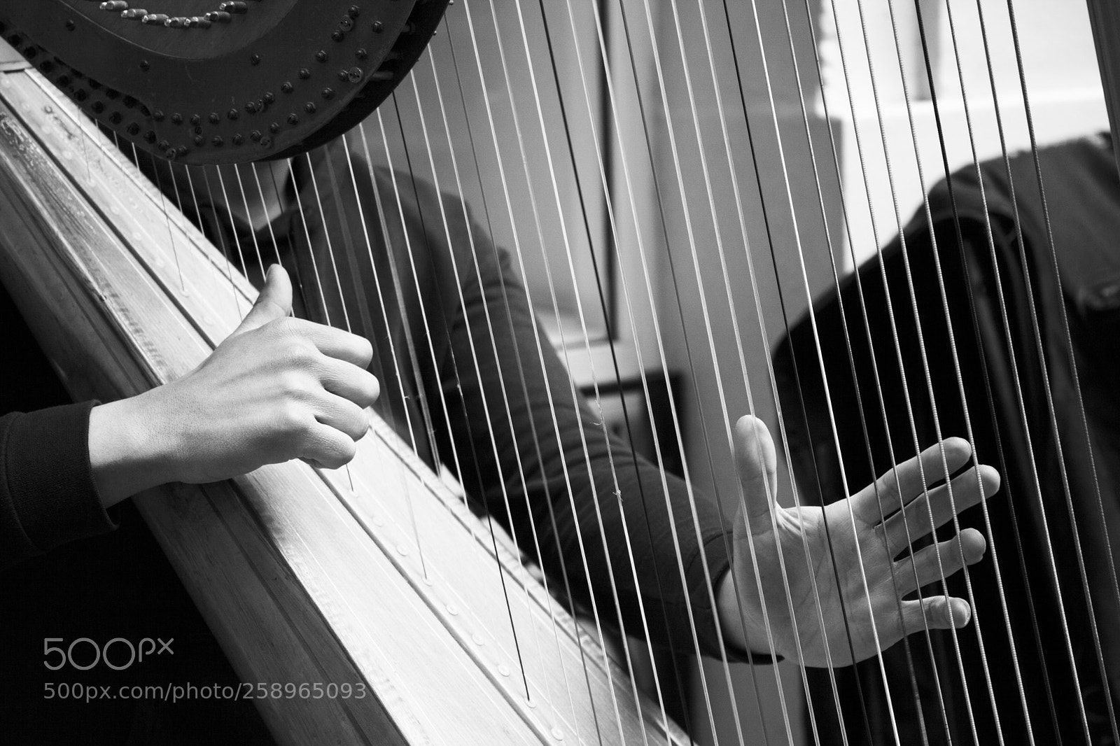 Canon EOS 5D Mark II sample photo. Hands of musician photography