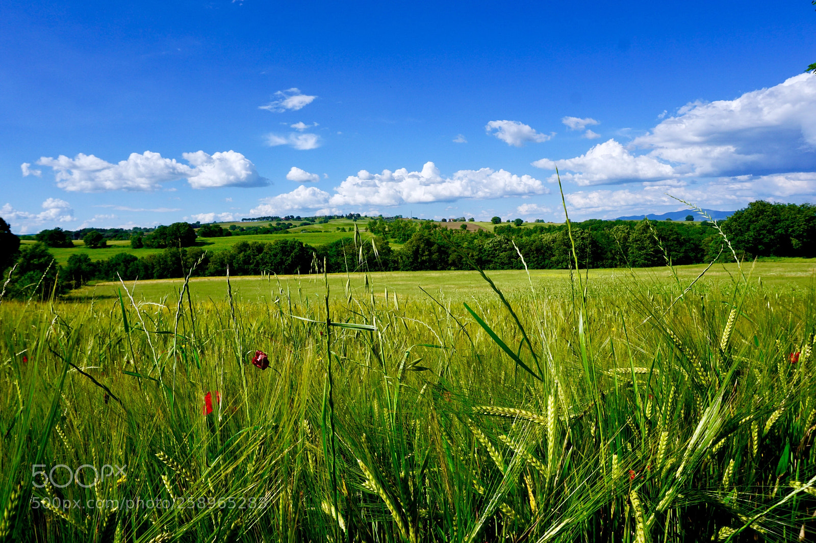 Sony a6000 sample photo. Countryside photography