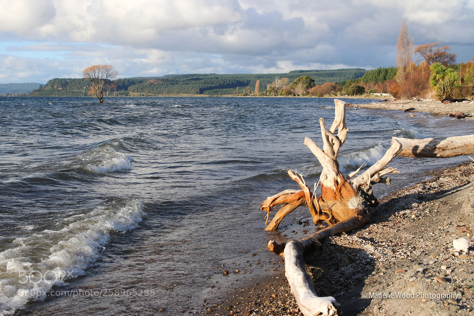 Canon EOS 80D sample photo. Taupo photography