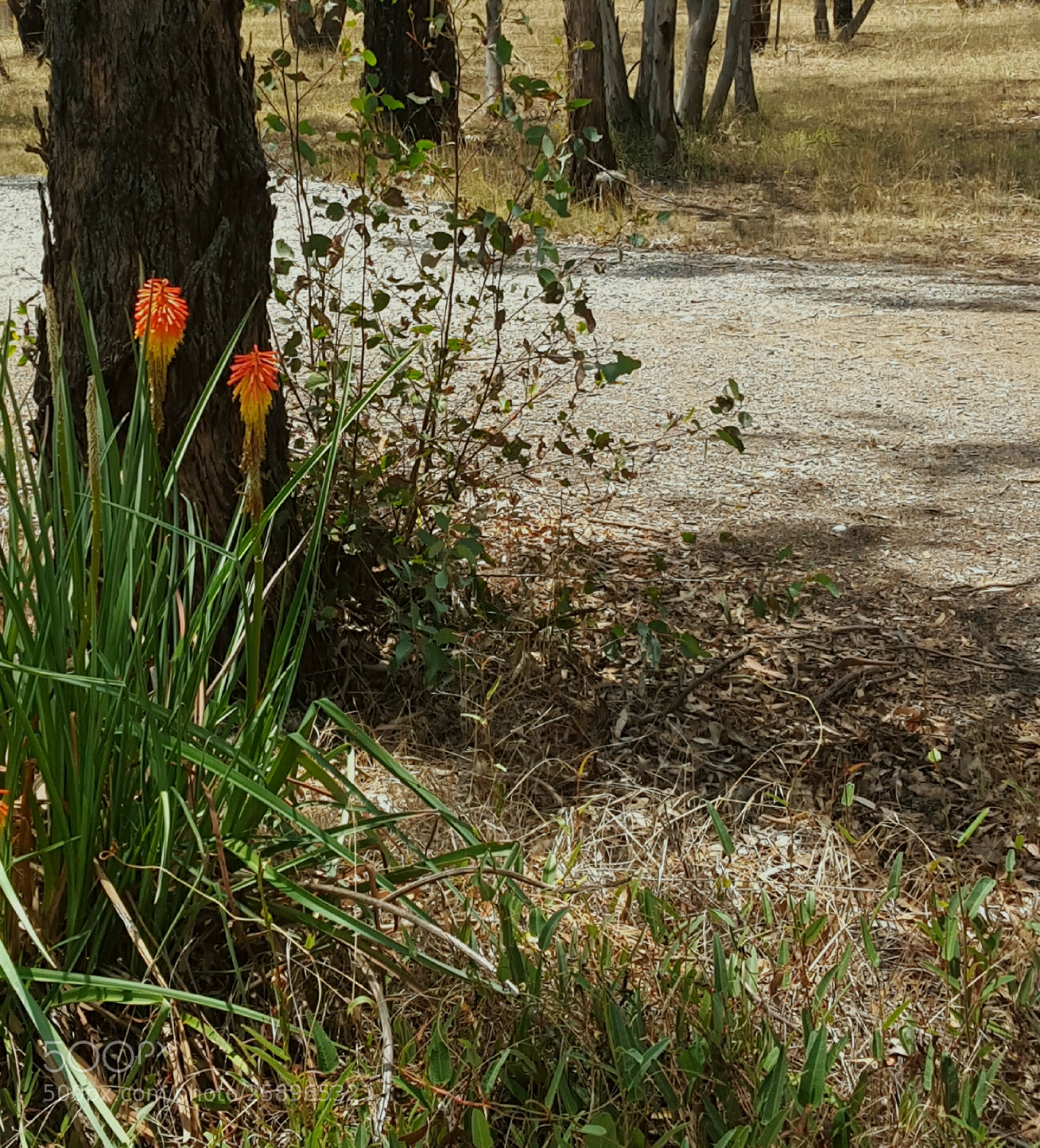 Samsung Galaxy S6 sample photo. Pathfinder1 photography