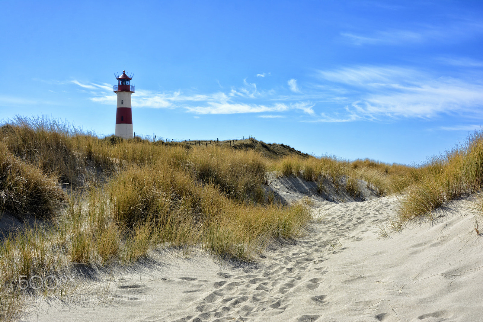 Nikon D7100 sample photo. Walk through the dunes photography