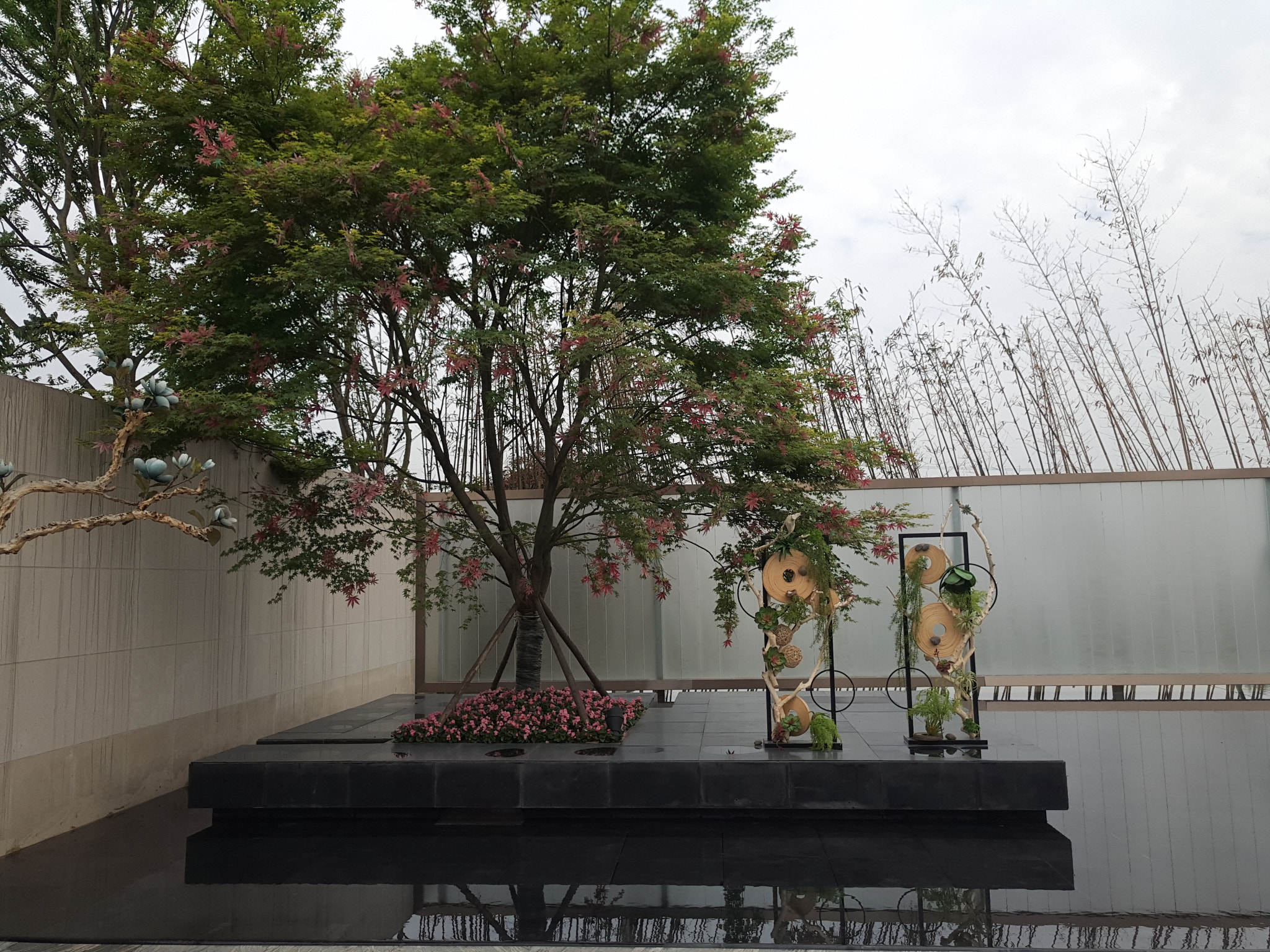 Meizu PRO 6 Plus sample photo