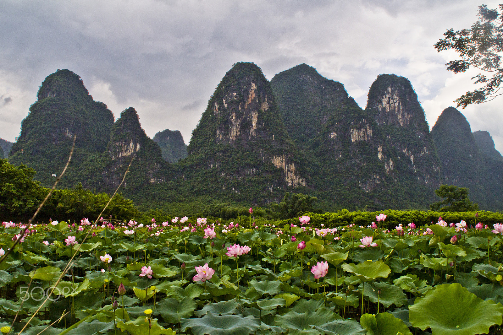 Canon EOS 600D (Rebel EOS T3i / EOS Kiss X5) sample photo. Landscape in xingping photography
