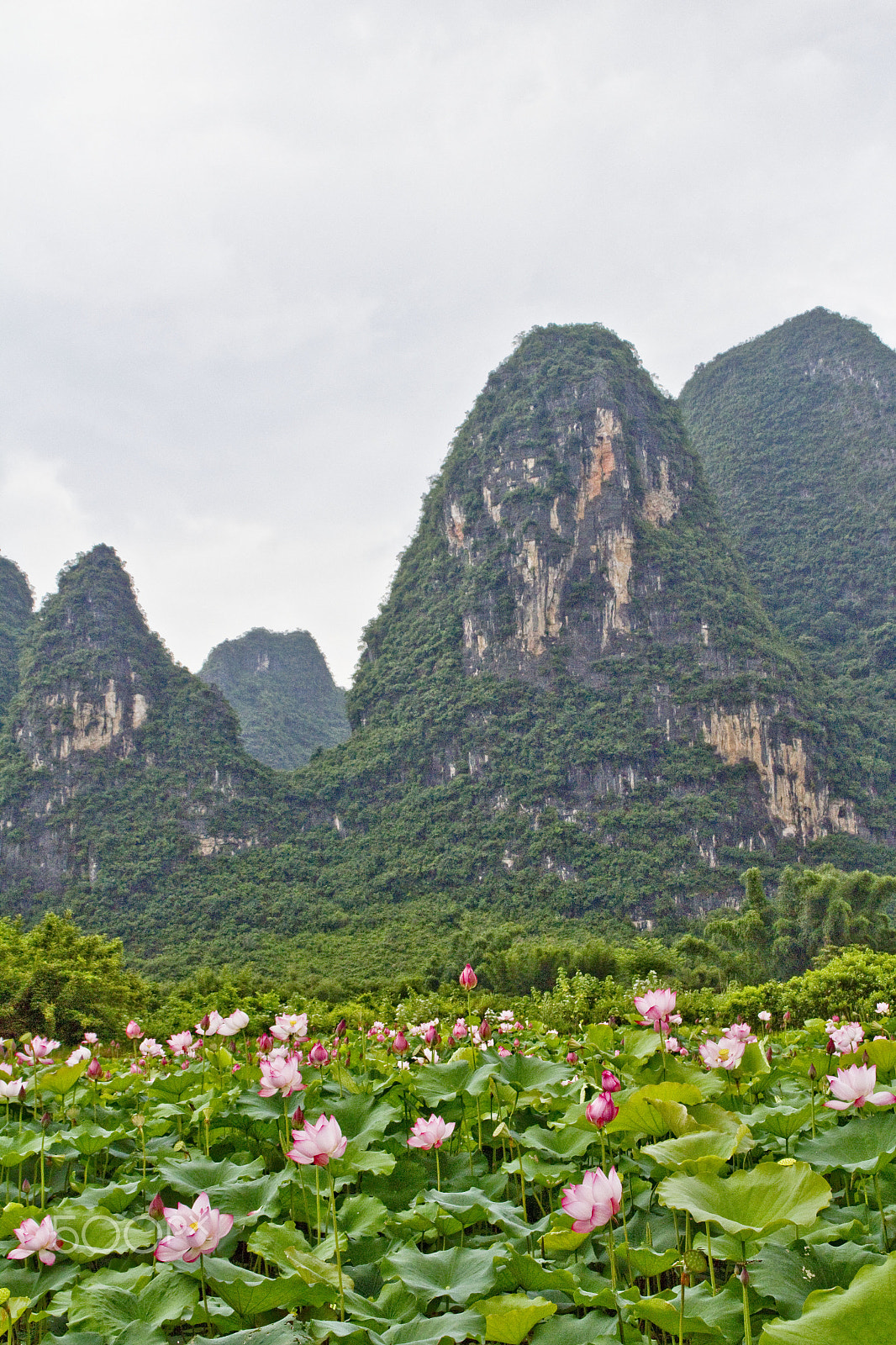 Canon EOS 600D (Rebel EOS T3i / EOS Kiss X5) sample photo. Landscape in xingping photography