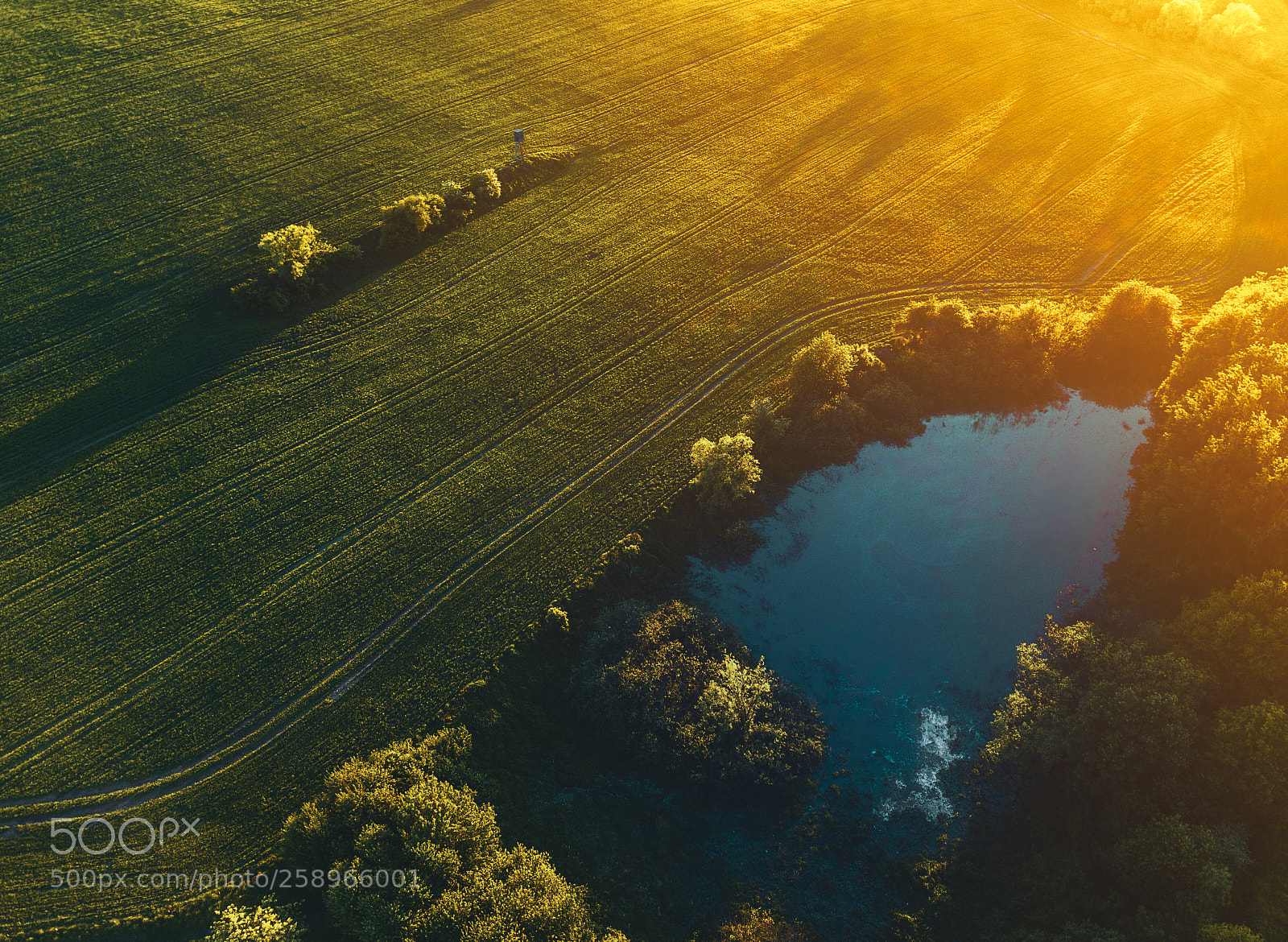 DJI FC220 sample photo. Somewhere in fields photography