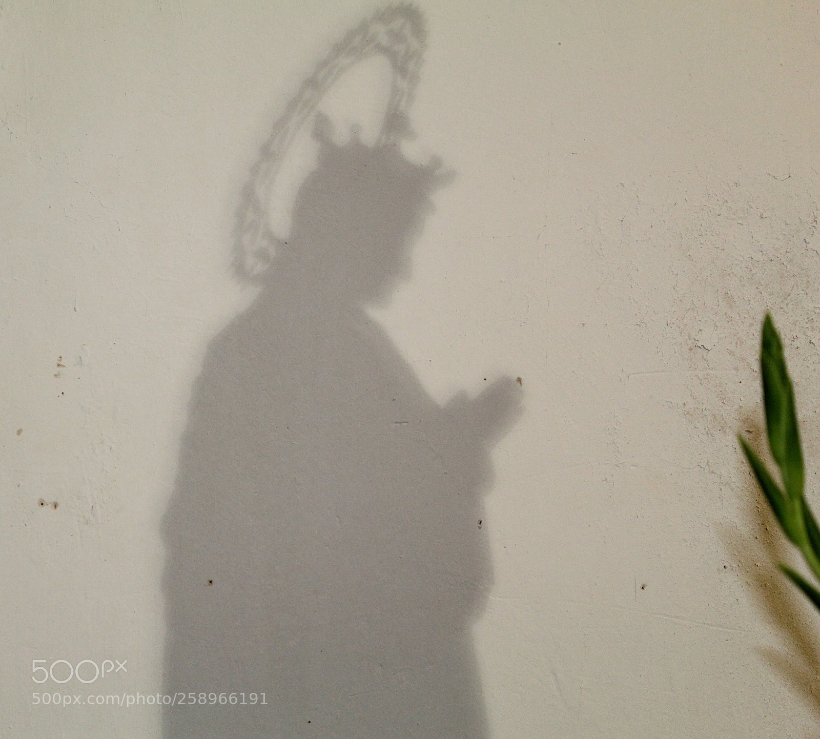 Canon EOS 1300D (EOS Rebel T6 / EOS Kiss X80) sample photo. Sombra de una virgen photography