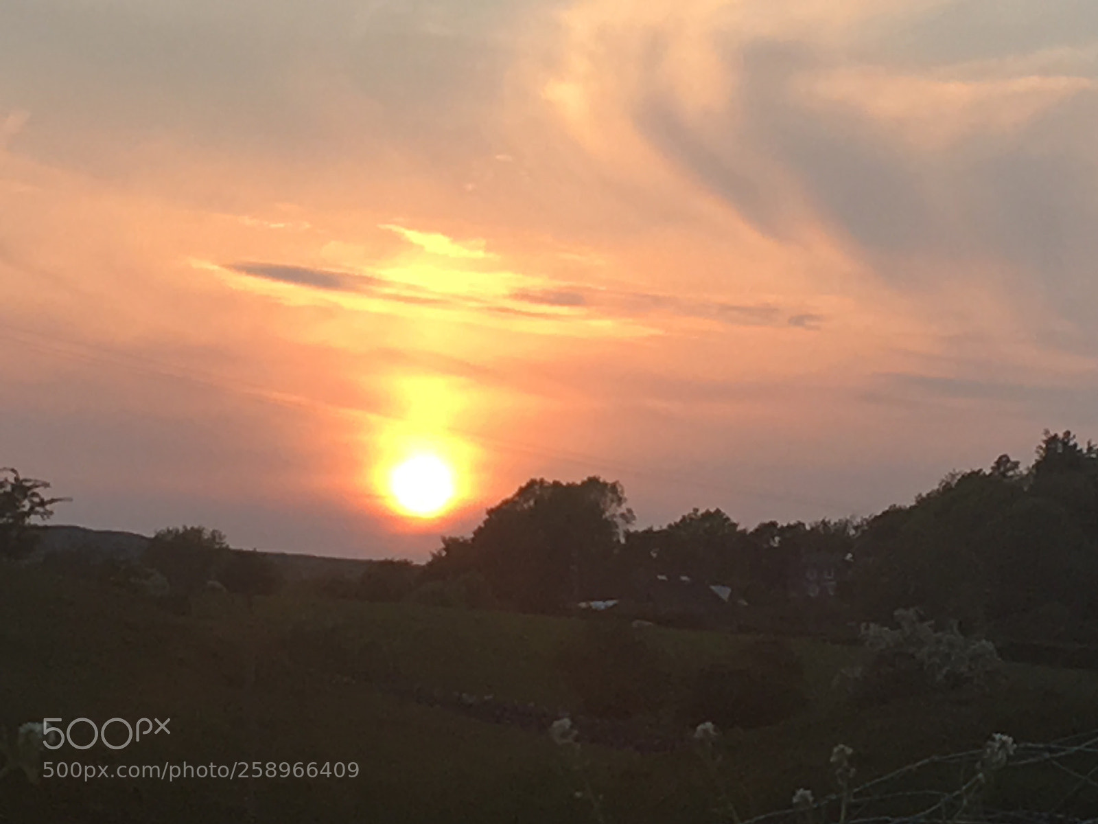Apple iPhone SE sample photo. Last night sunset  photography