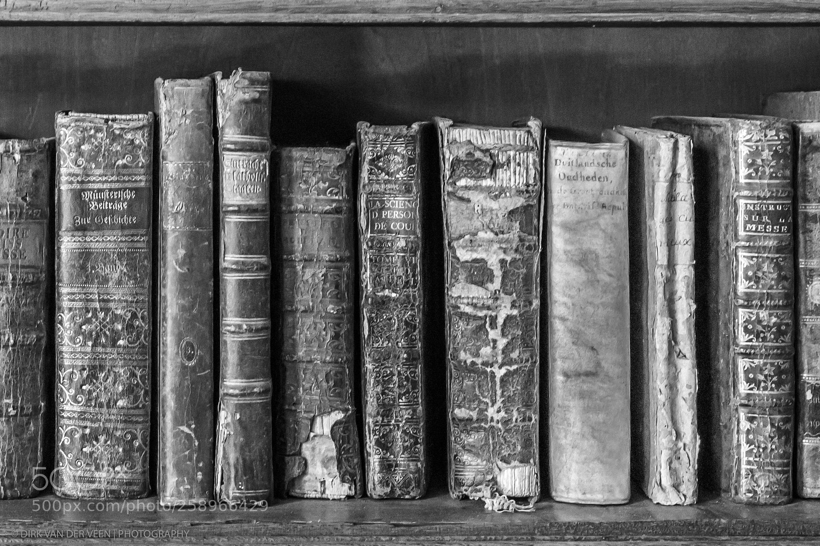 Canon EOS 6D Mark II sample photo. Old bookshelf photography