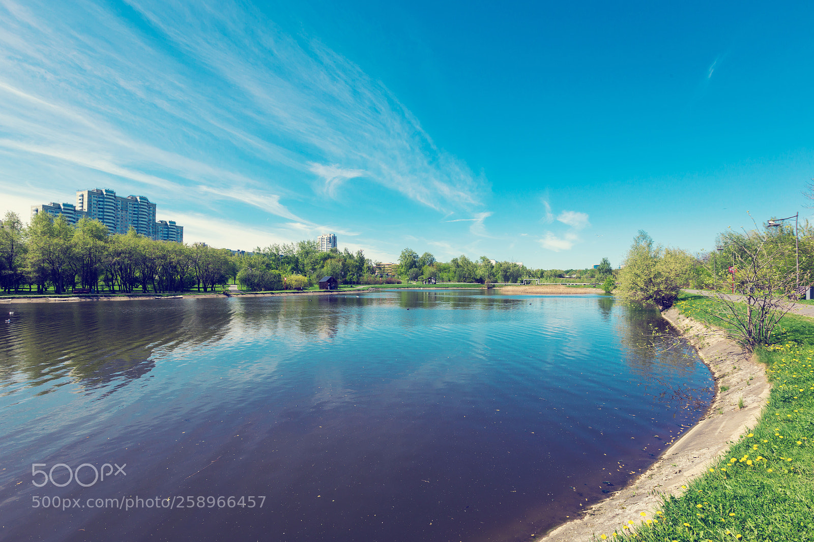 Canon EOS 6D sample photo. Sunny day on a photography