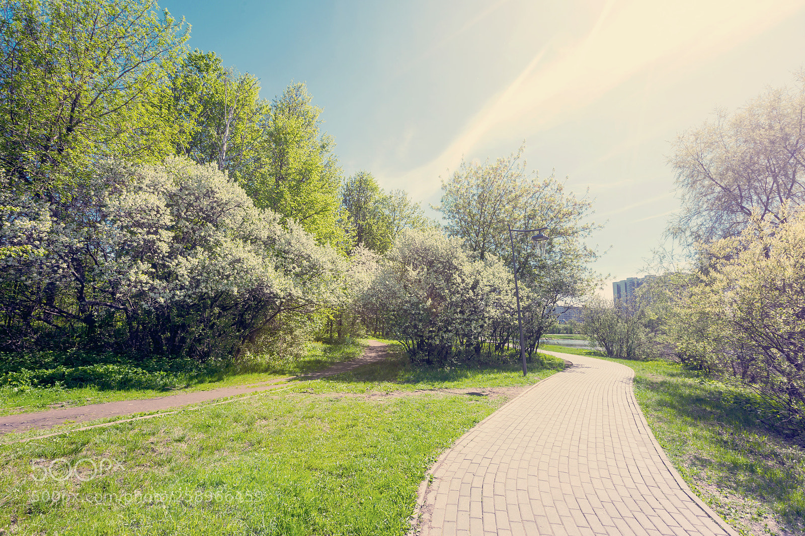 Canon EOS 6D sample photo. Cherry blossom in spring photography