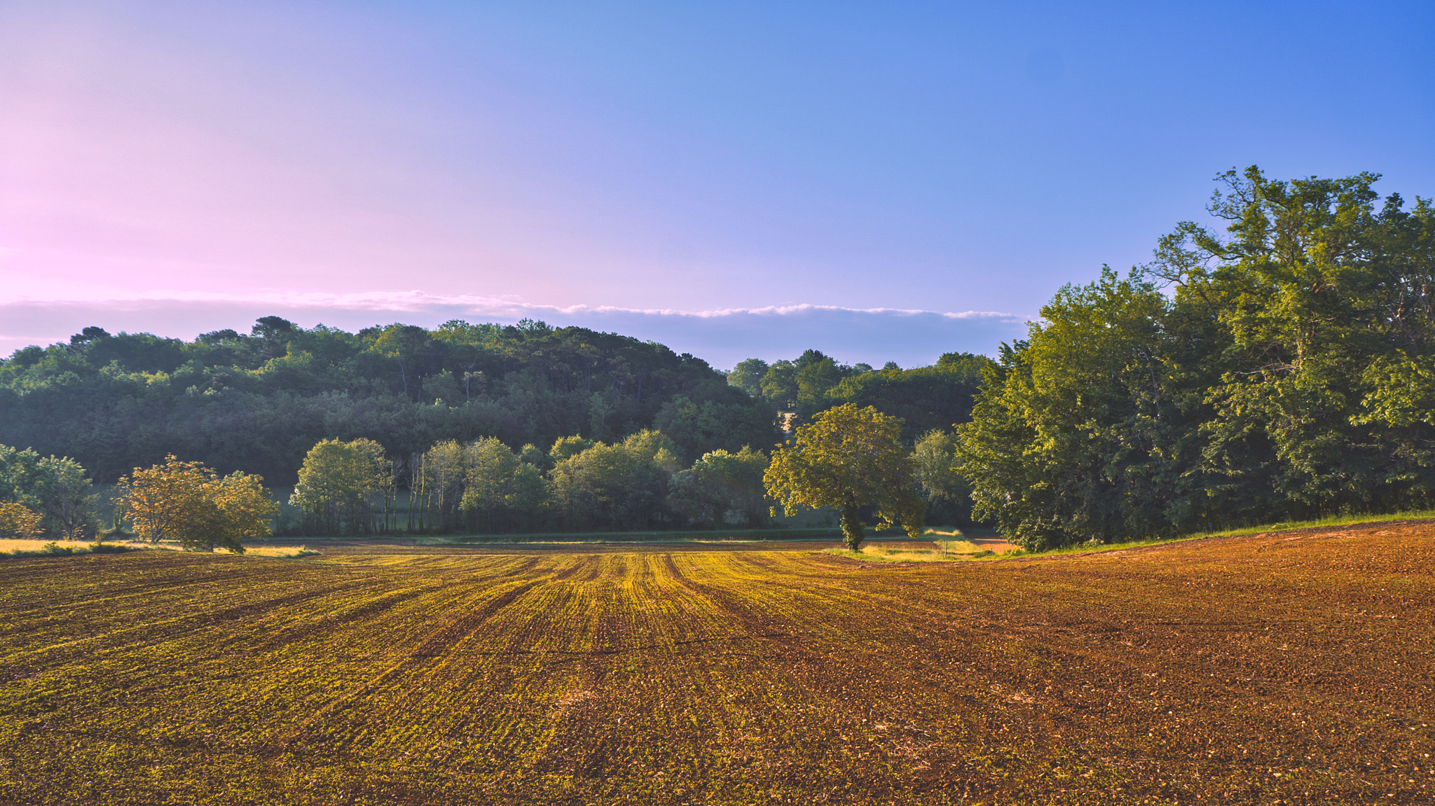 Sony Alpha NEX-5R sample photo. Morning lines photography