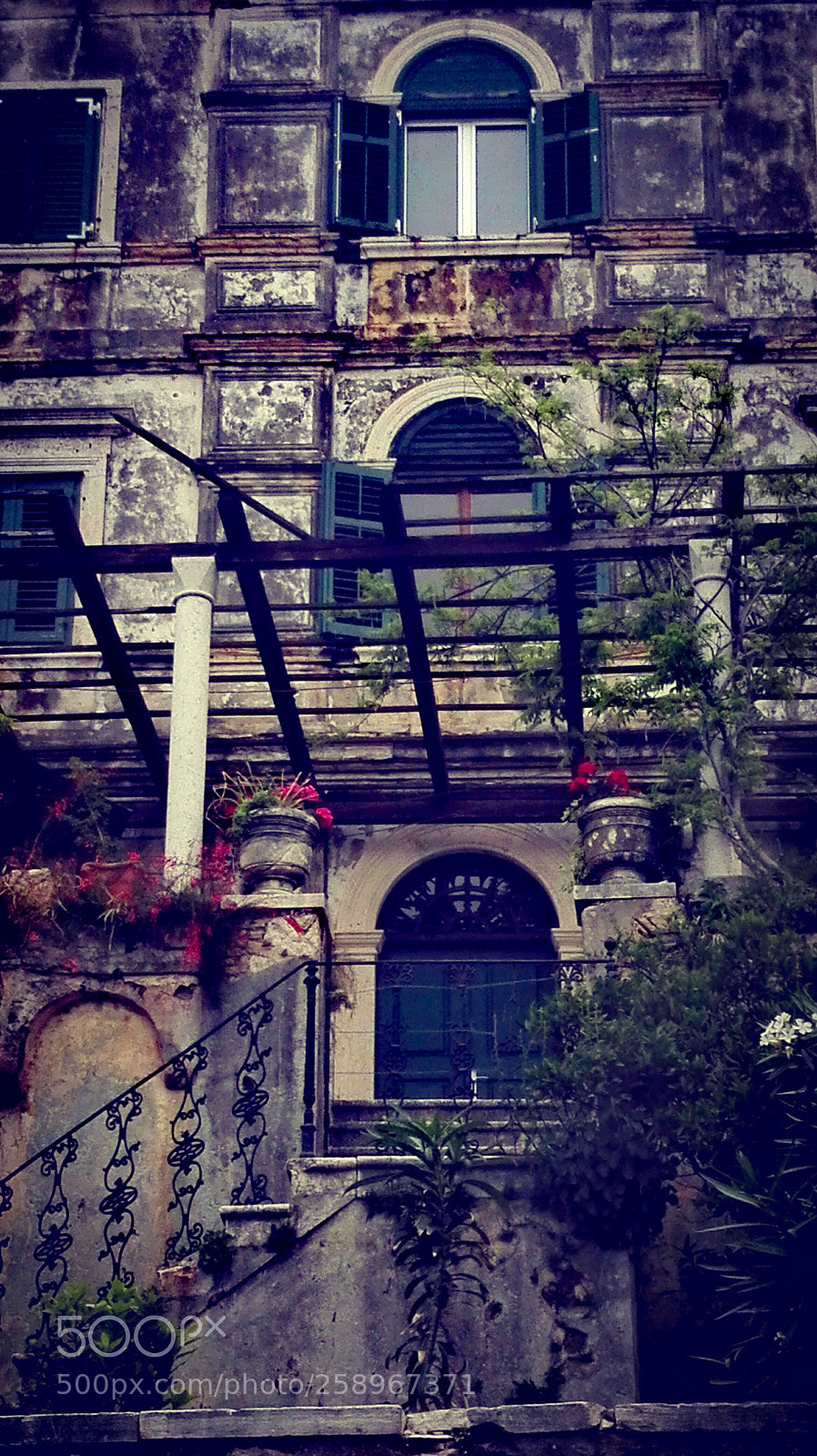 HUAWEI P8 Lite sample photo. Early photography