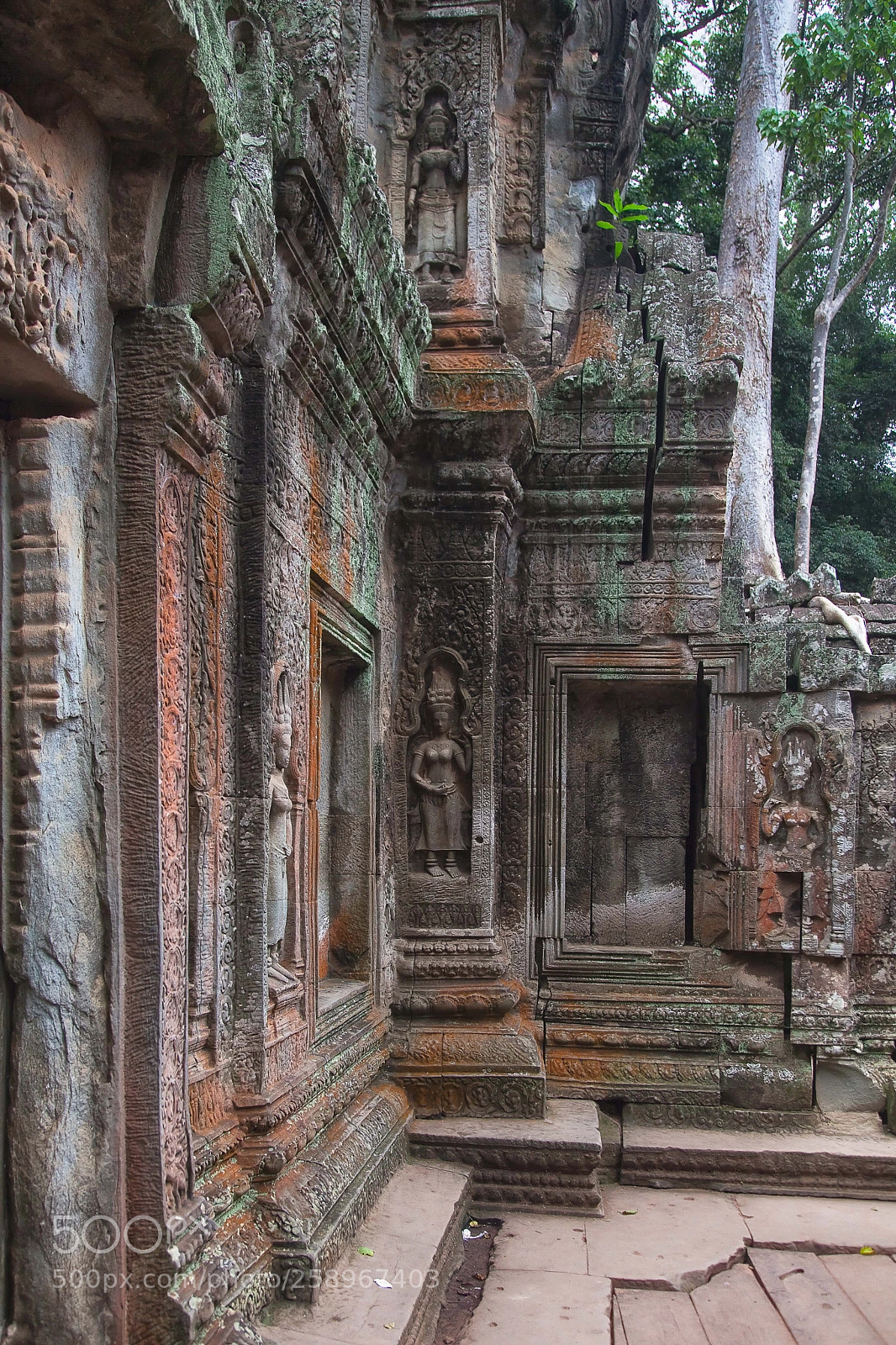 Canon EOS 5D Mark II sample photo. Ta prohm - the photography
