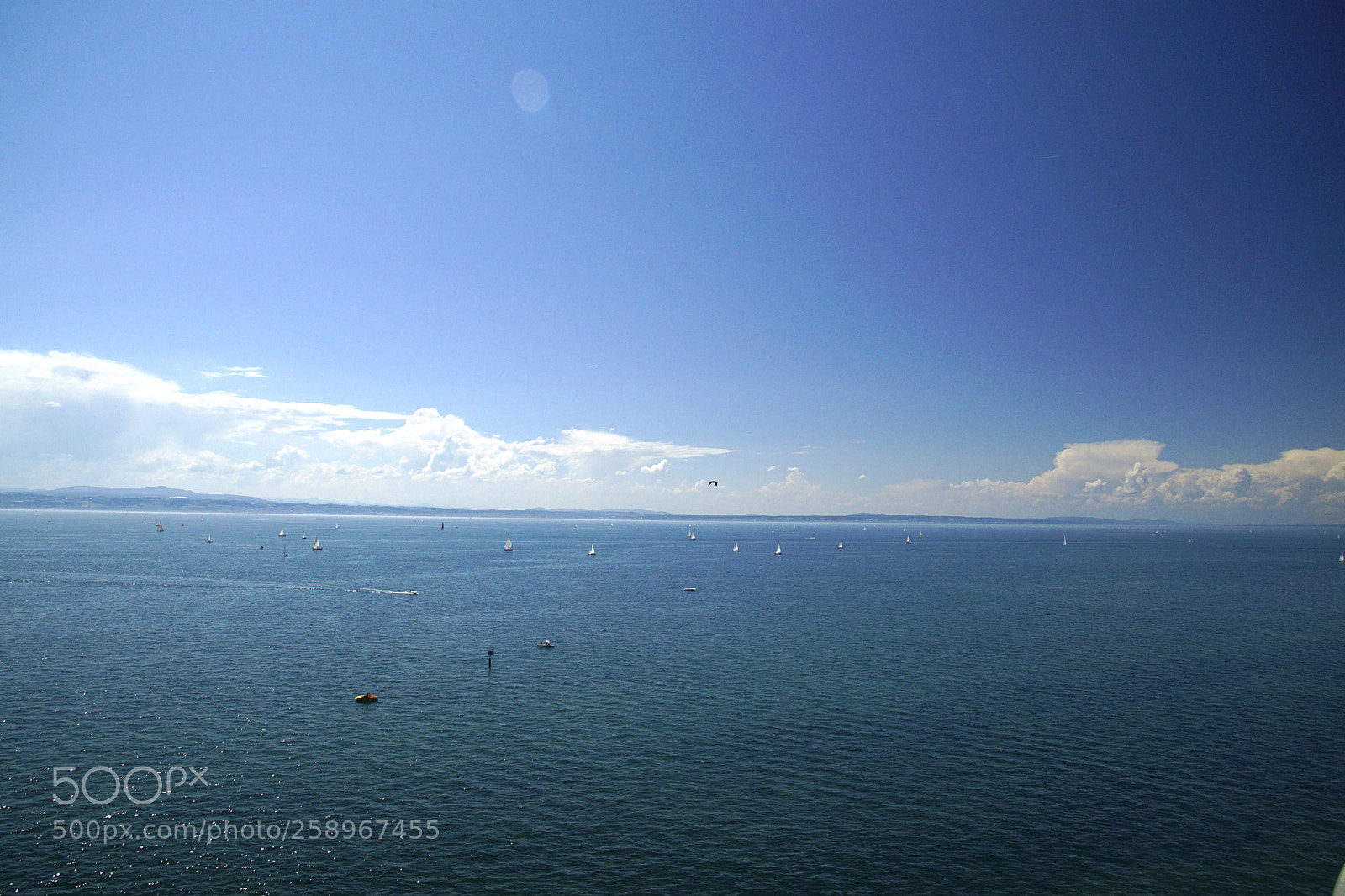 Sony ILCA-77M2 sample photo. Bodensee photography