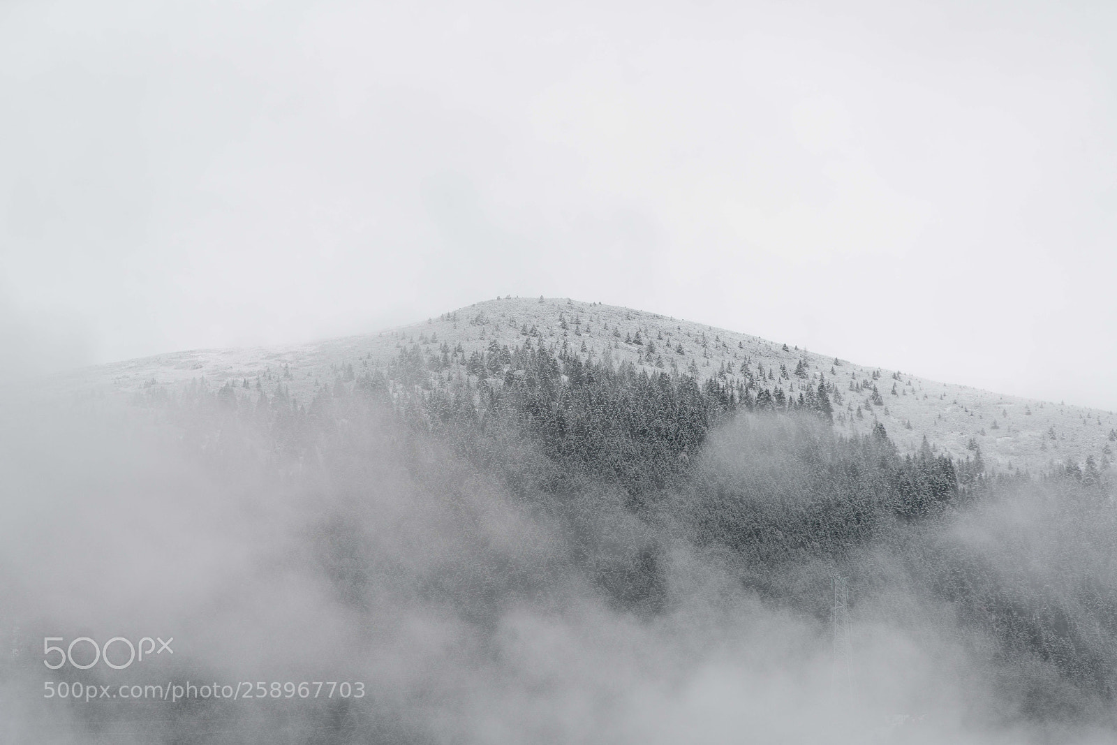 Sony a7R II sample photo. Untitled photography