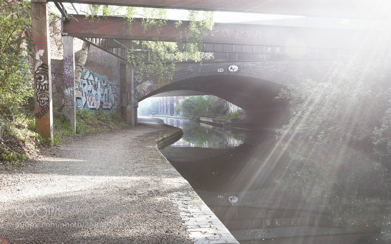 Canon EOS 5D Mark II sample photo. Bleech photography