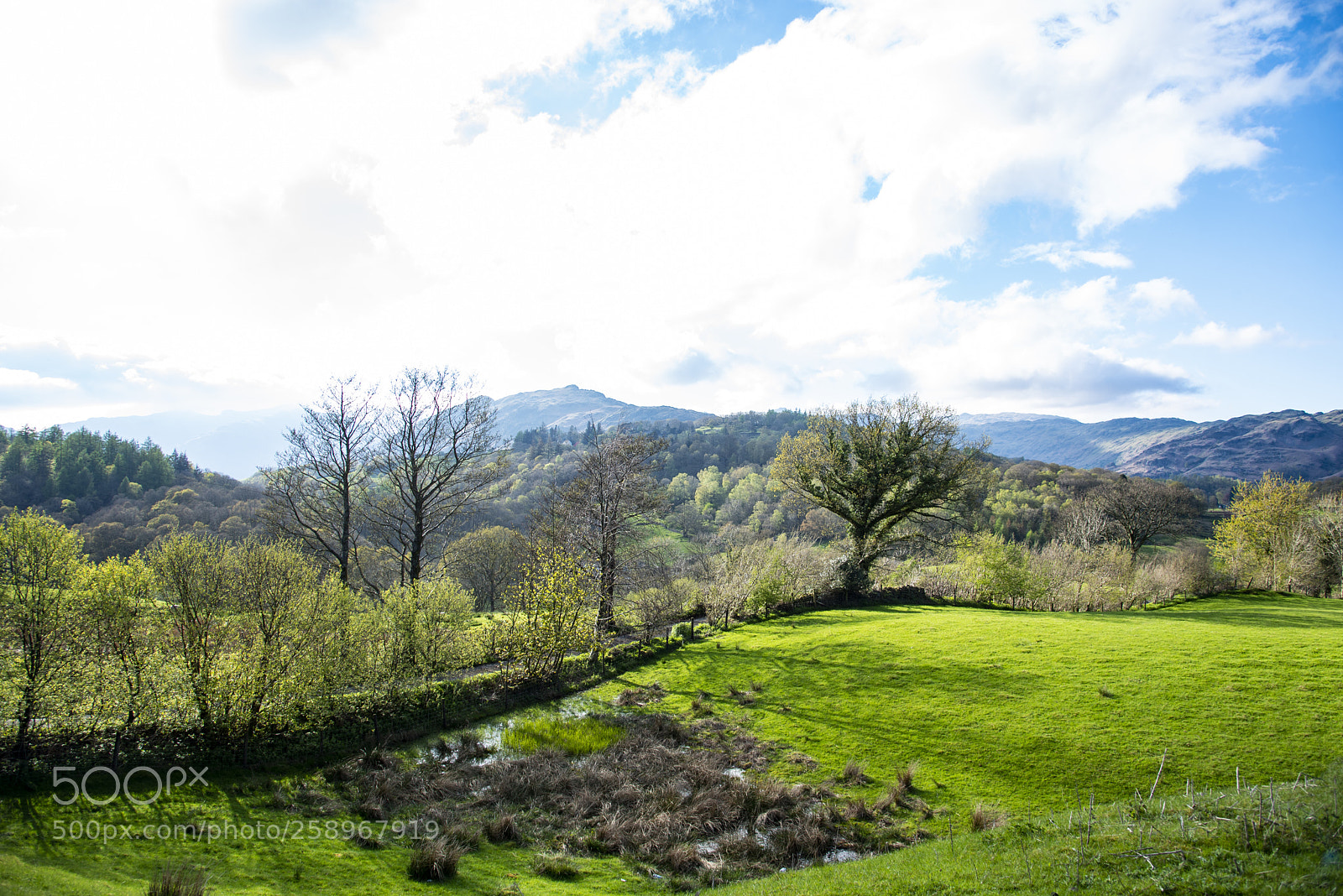 Nikon D750 sample photo. Lake district - gb photography