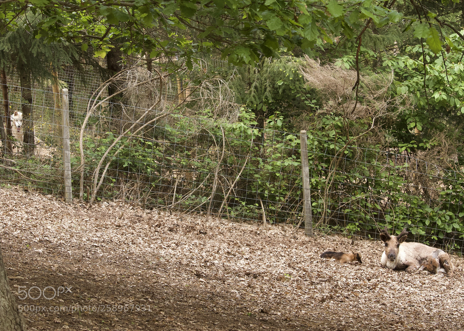Canon EOS 7D sample photo. Qui a vu le photography