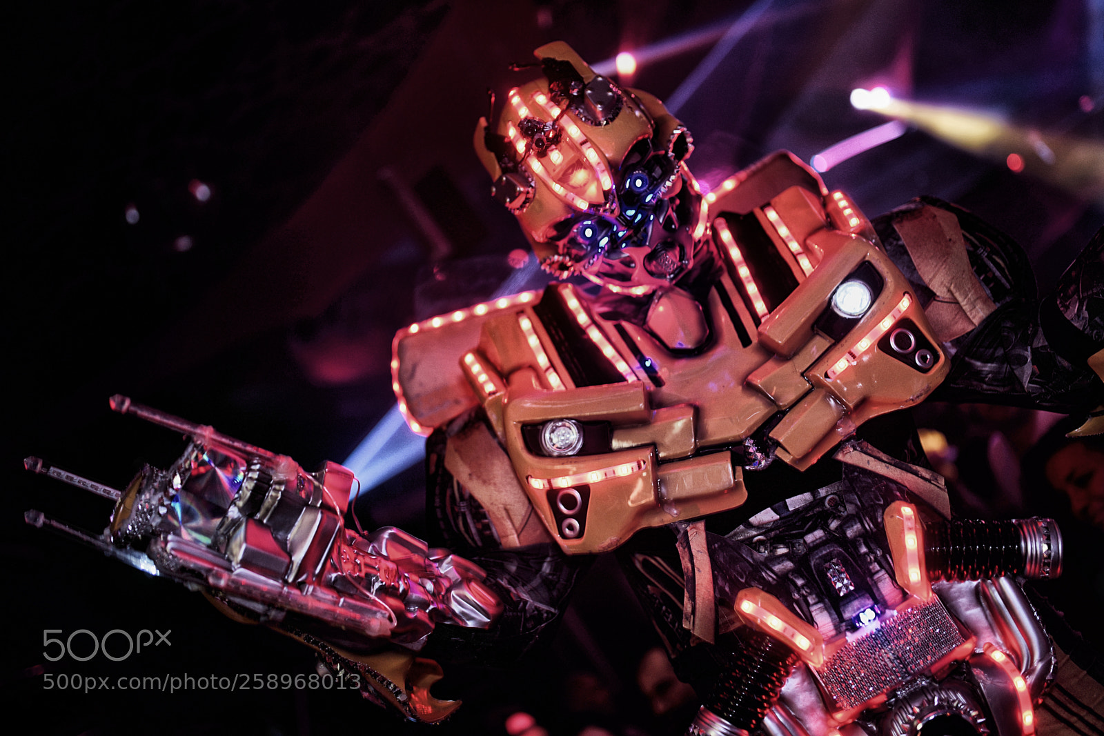 Sony SLT-A99V sample photo. Party invader photography