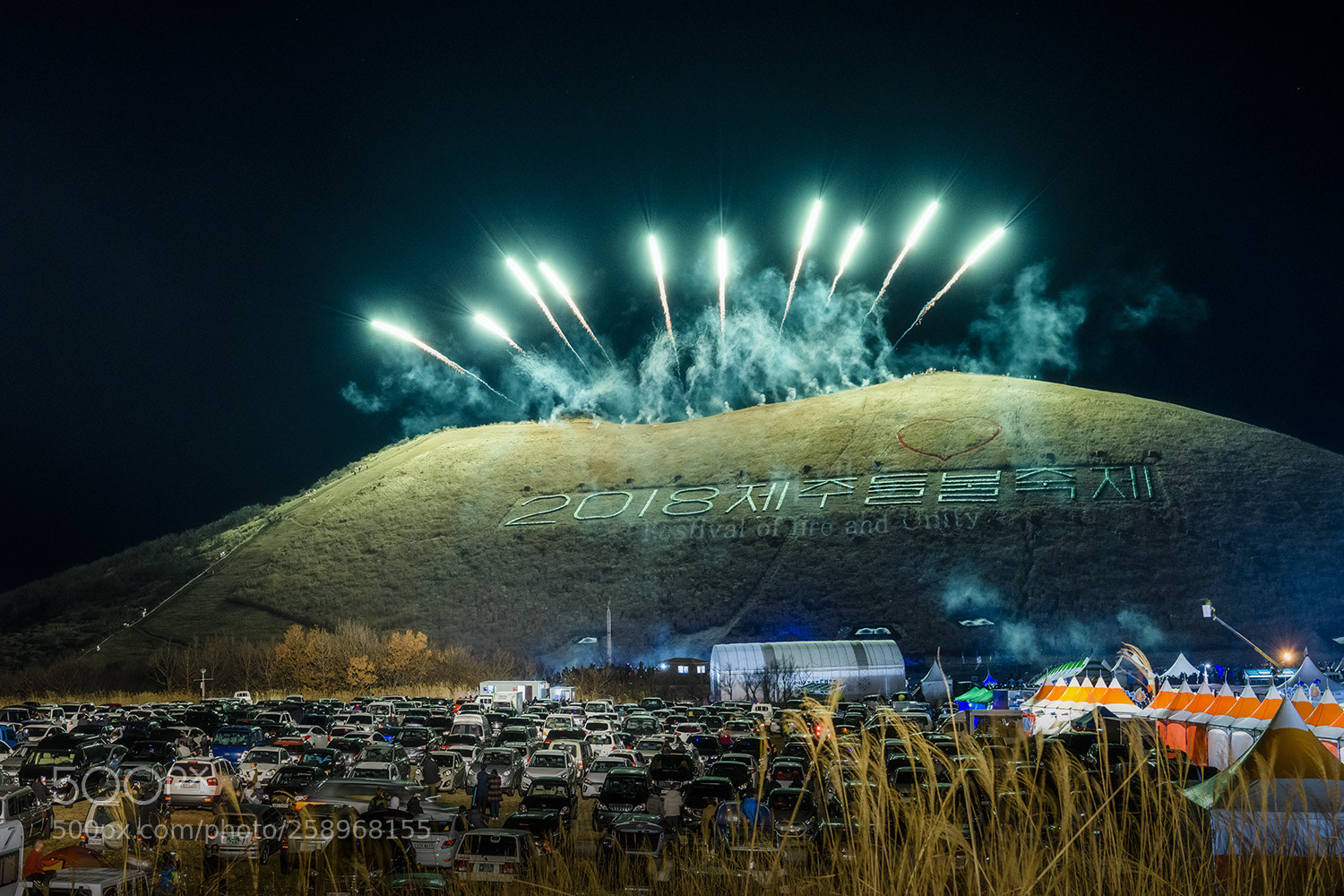 Nikon D810 sample photo. Festival premiere photography