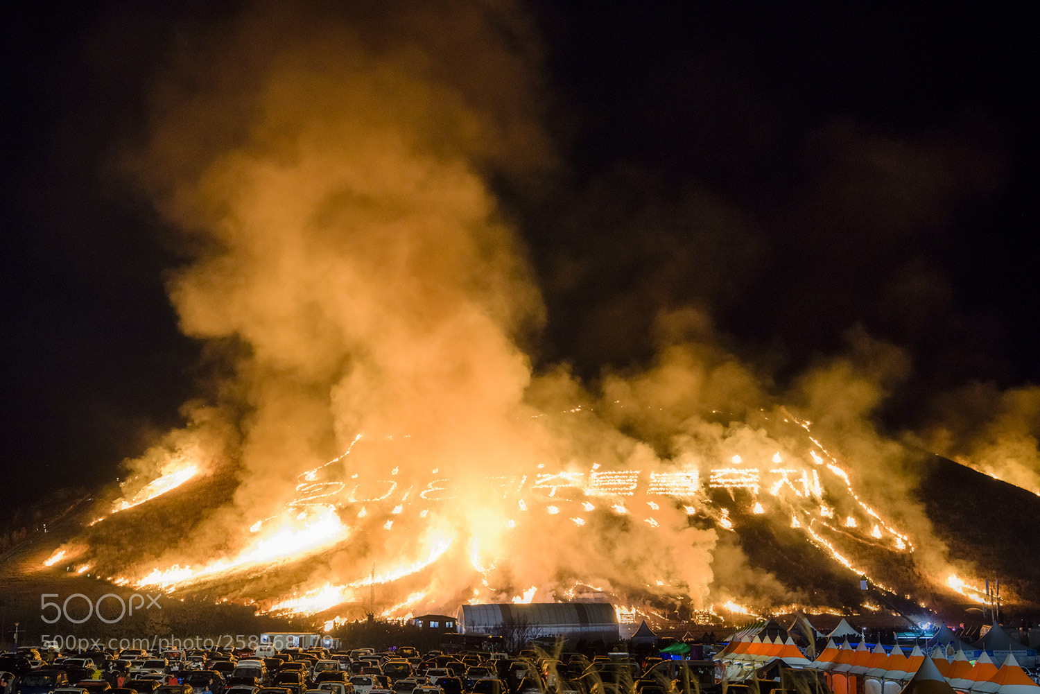 Nikon D810 sample photo. Festival premiere photography