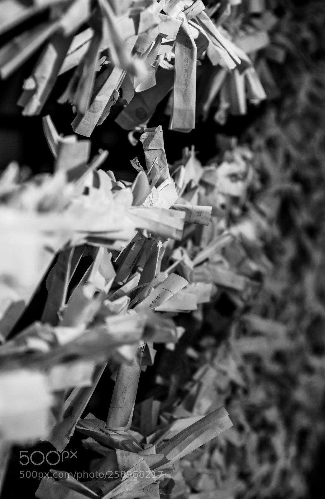 Nikon D7200 sample photo. Omikuji photography