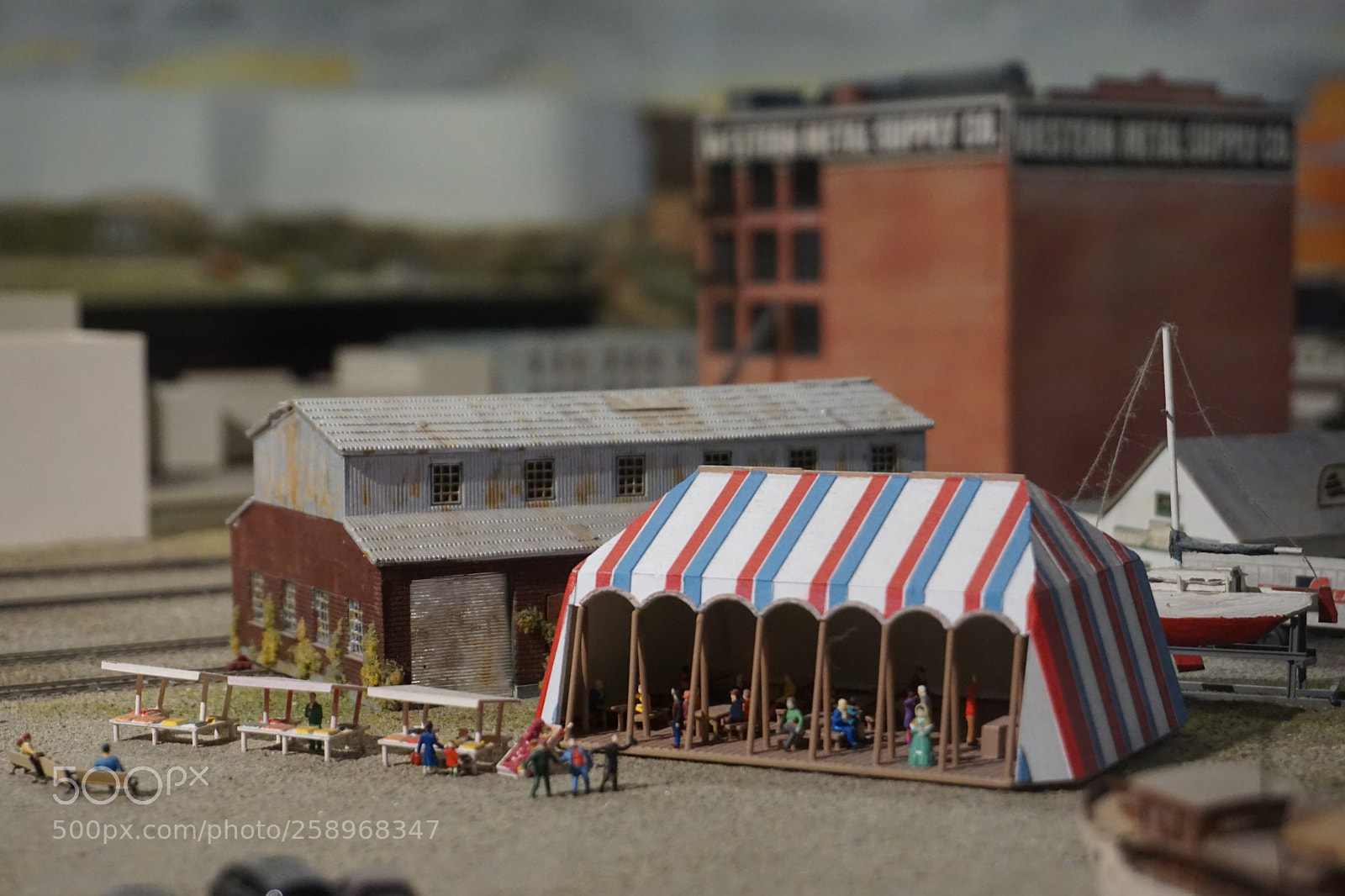 Sony a6000 sample photo. Miniature life photography
