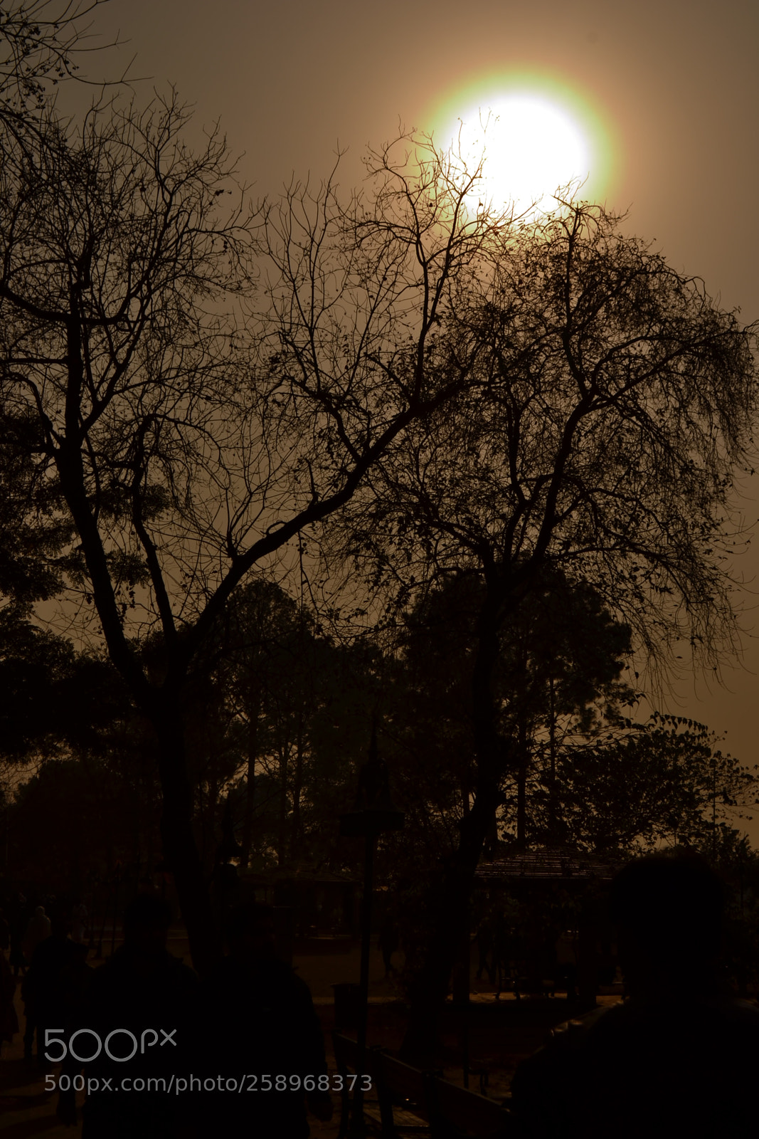 Nikon D3100 sample photo. Sunset #nature photography