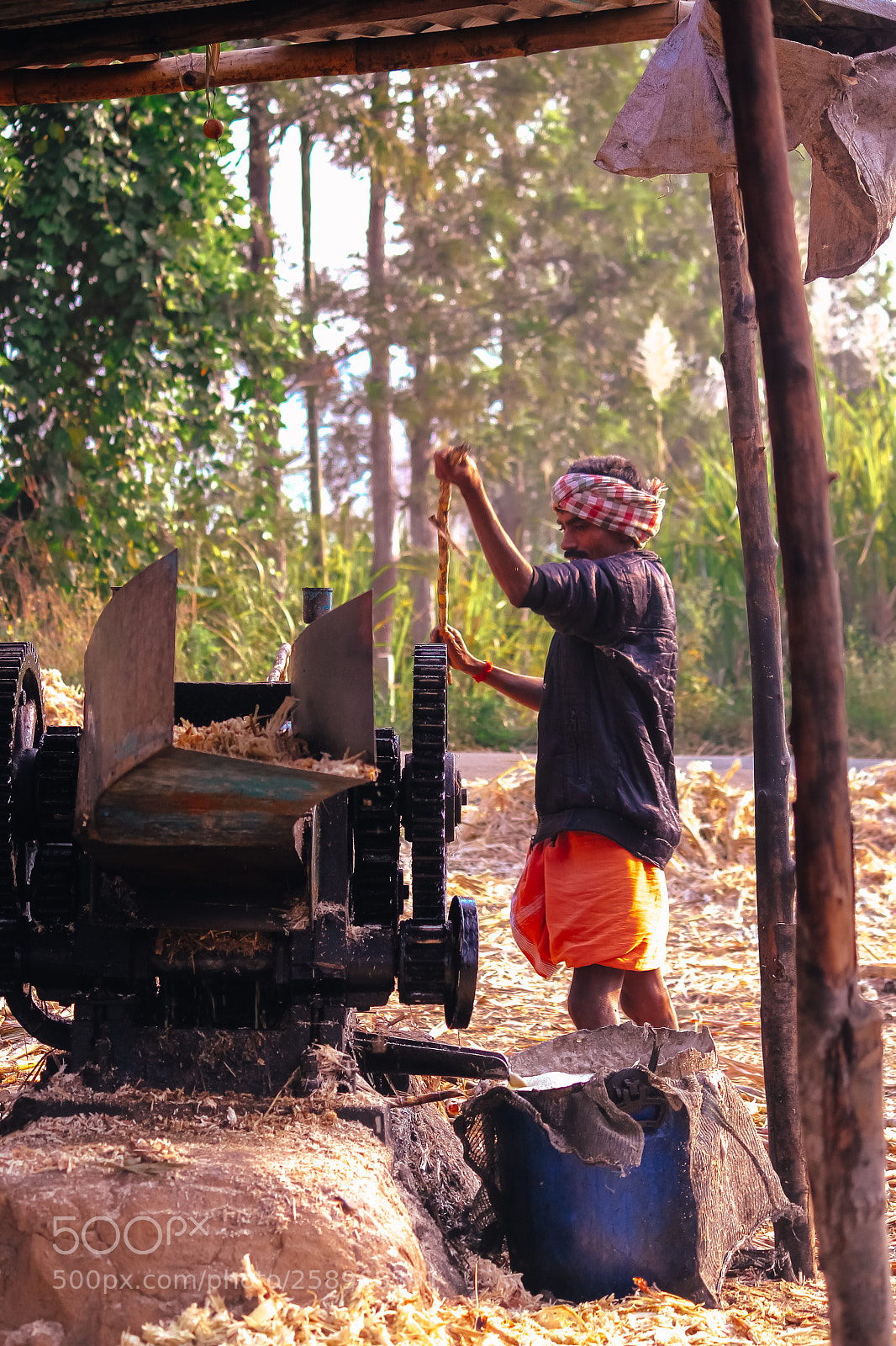 Canon EOS 550D (EOS Rebel T2i / EOS Kiss X4) sample photo. Jaggery worker photography