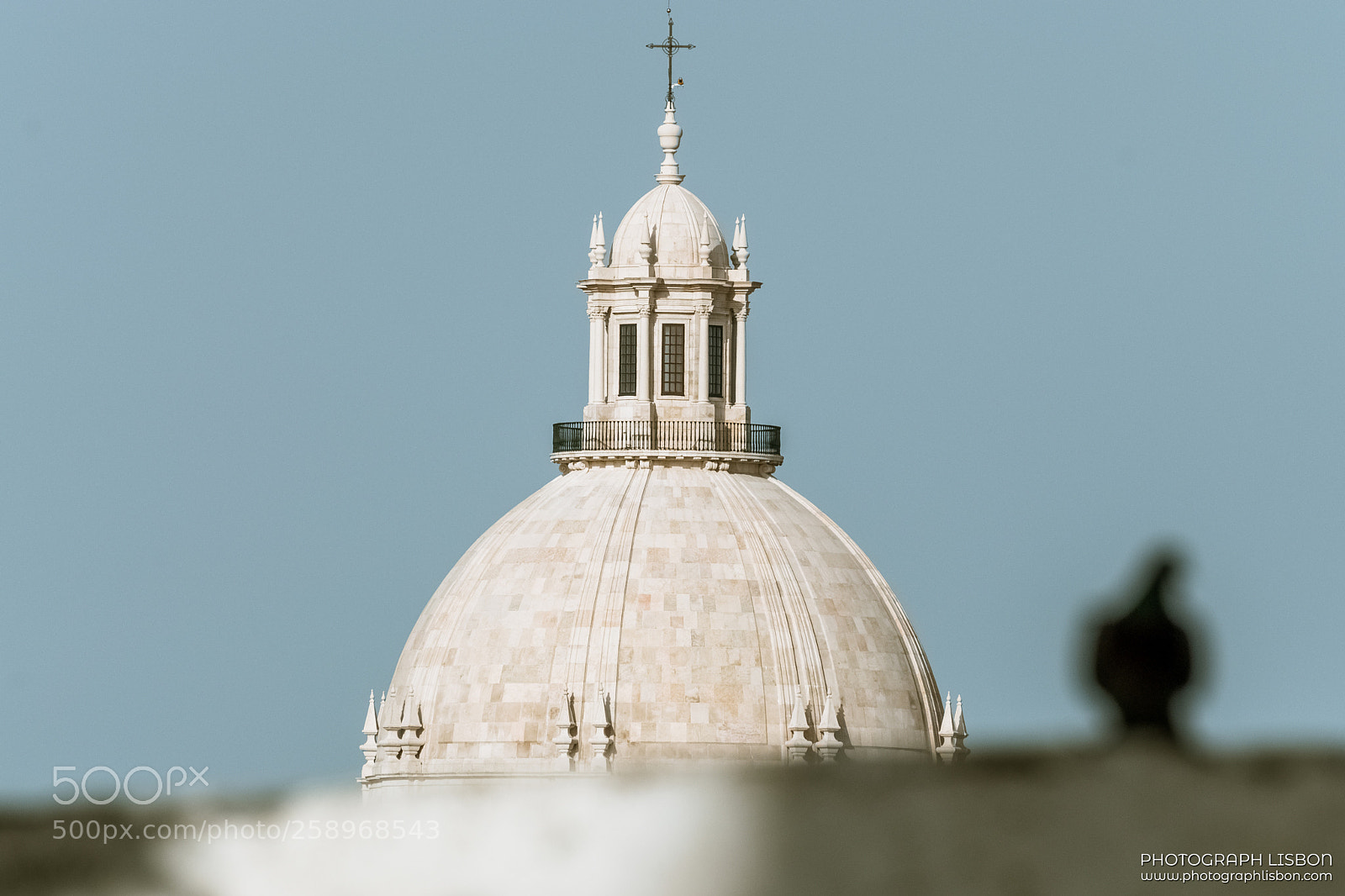 Nikon D5000 sample photo. National pantheon (and pidgeon) photography
