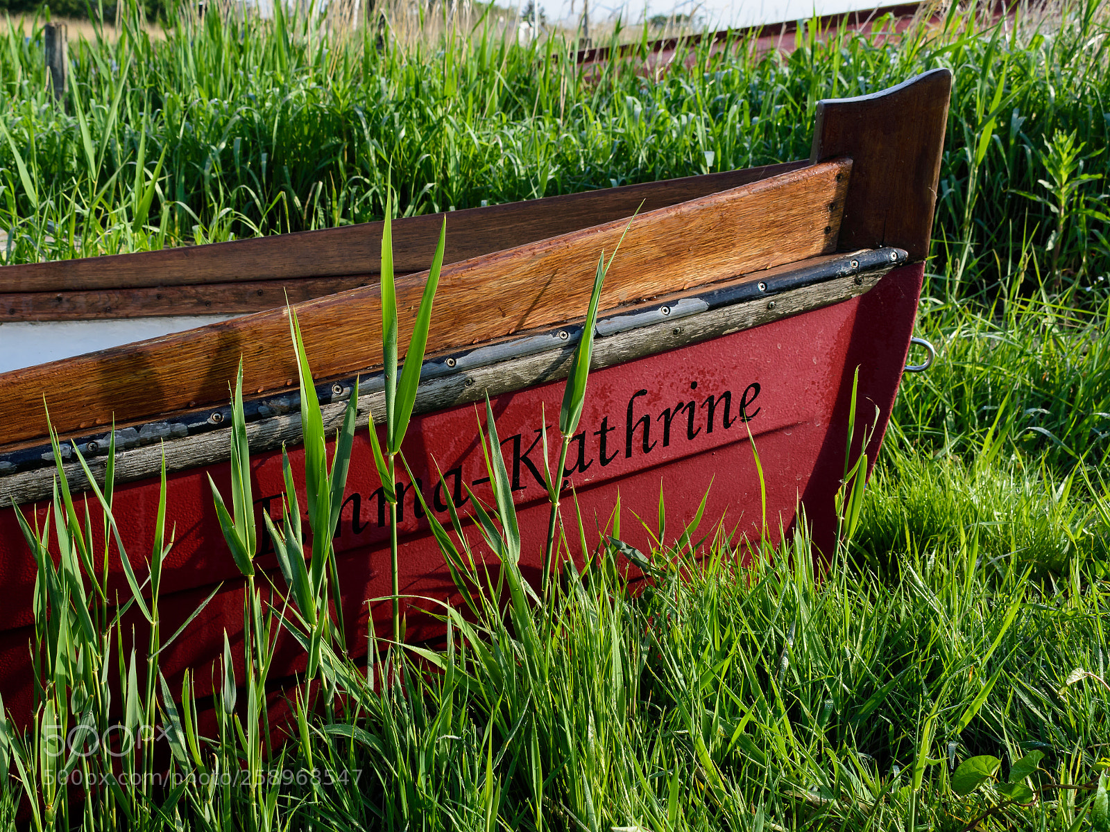 Nikon D3400 sample photo. The boat photography