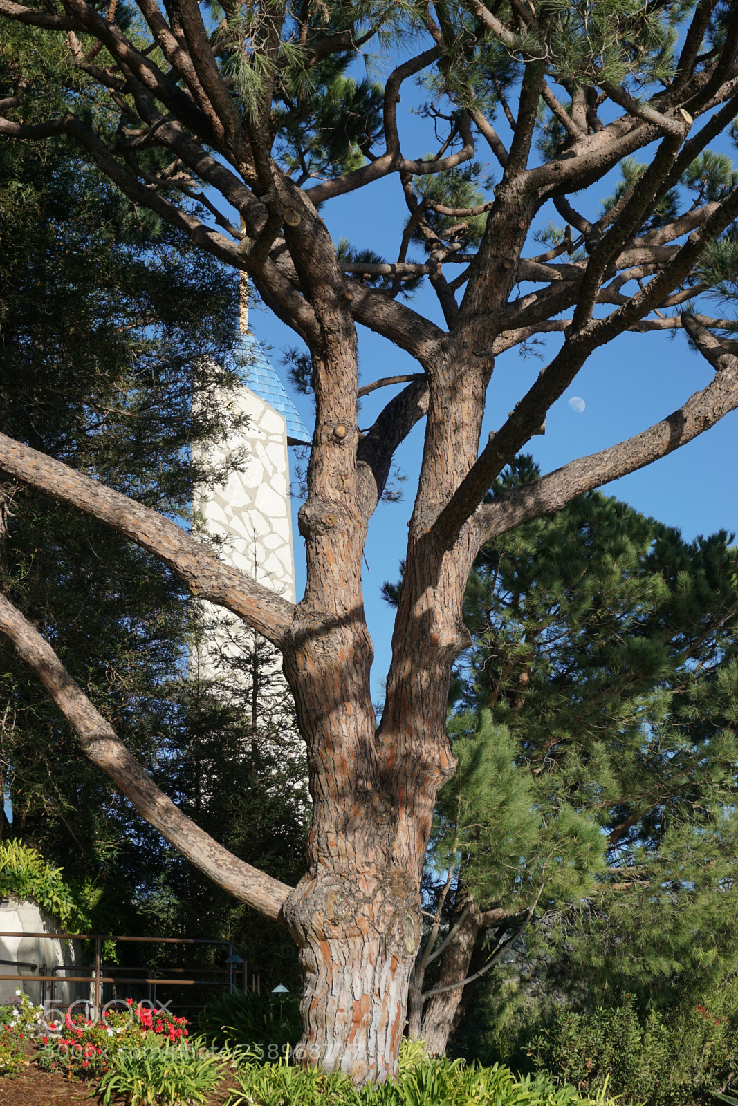Sony a6000 sample photo. Back to back photography